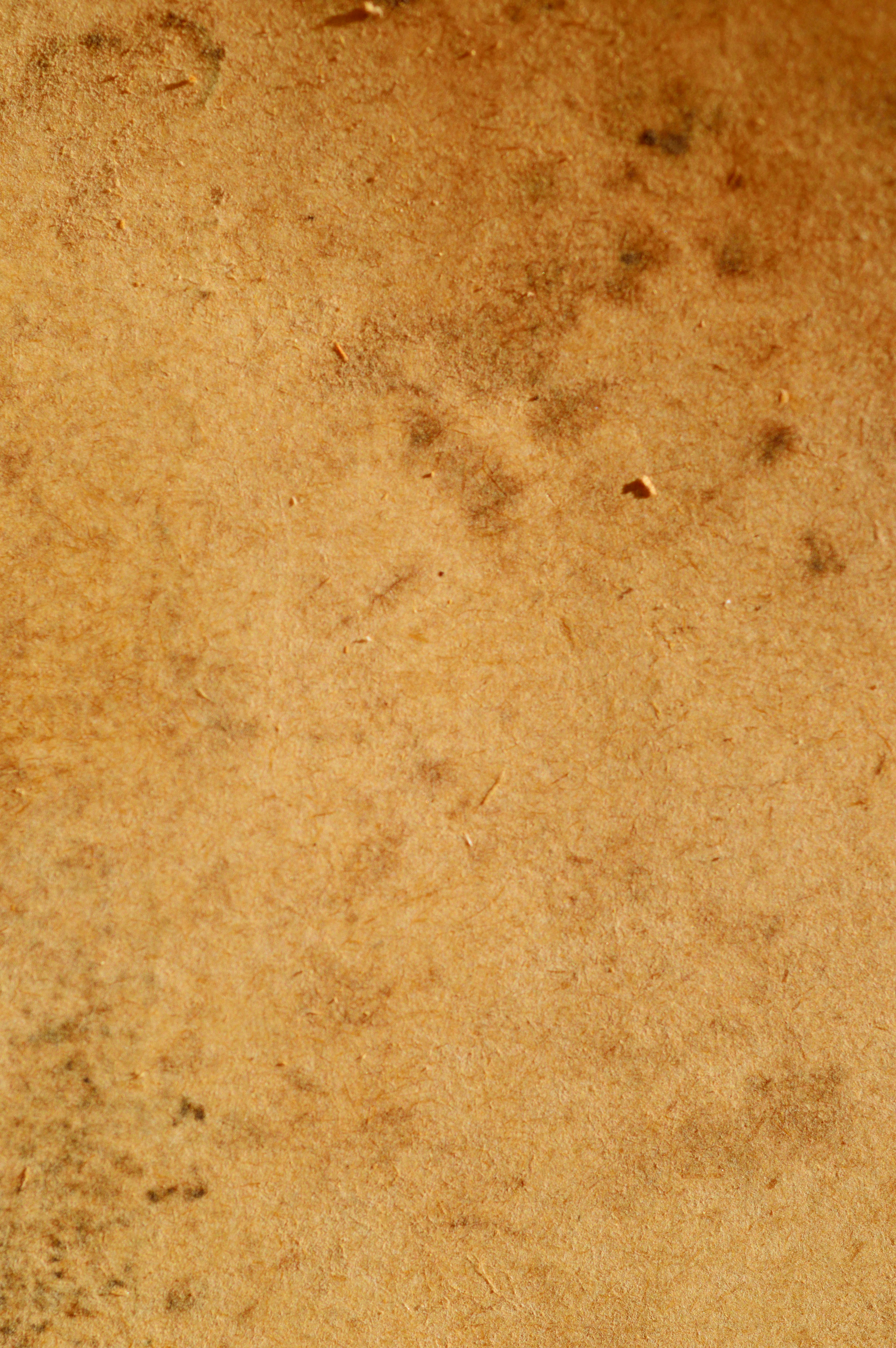 Close-up of aged vintage paper texture with warm sepia tones and fine grain detail