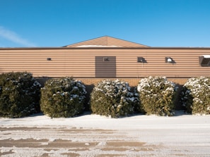 A row of snow-covered shrubs is positioned in front of a beige, single-story building with a triangular roof section. The building has horizontal paneling and several lights affixed to the walls. The ground is snow-covered, adding a wintry feel to the scene. The sky is clear and blue with no visible clouds.