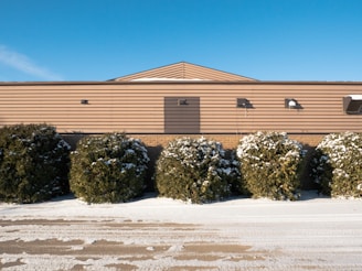 A row of snow-covered shrubs is positioned in front of a beige, single-story building with a triangular roof section. The building has horizontal paneling and several lights affixed to the walls. The ground is snow-covered, adding a wintry feel to the scene. The sky is clear and blue with no visible clouds.