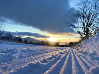 The sun setting behind a snow-covered yard freshly cleared by Snowslingers.
