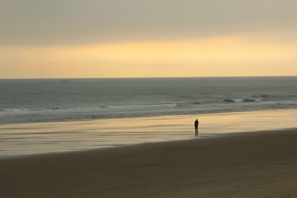 person walking on beach during sunset