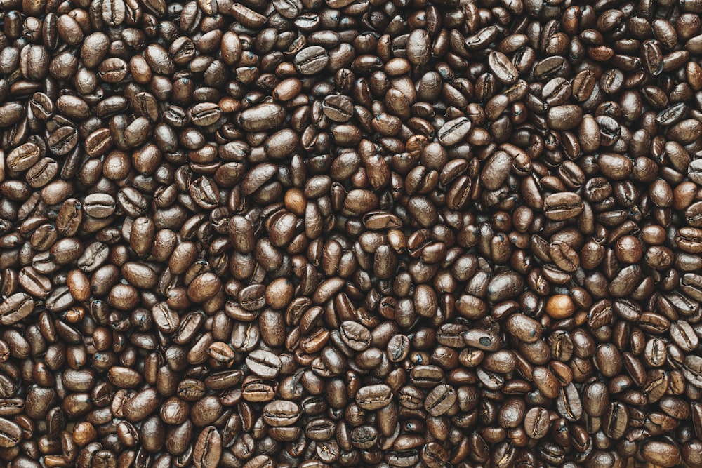 brown coffee beans on brown wooden table