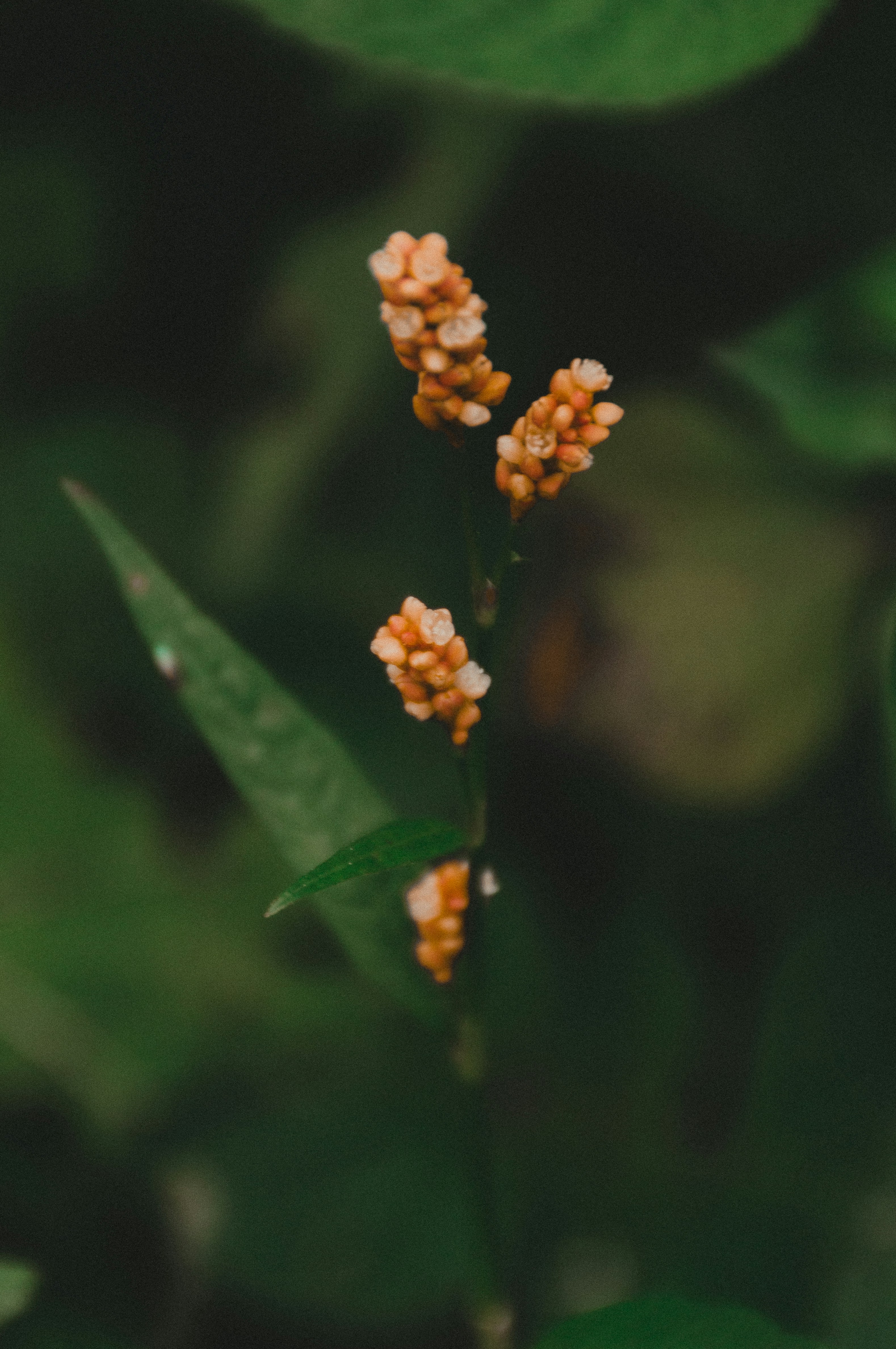 Photo by milo_contreras