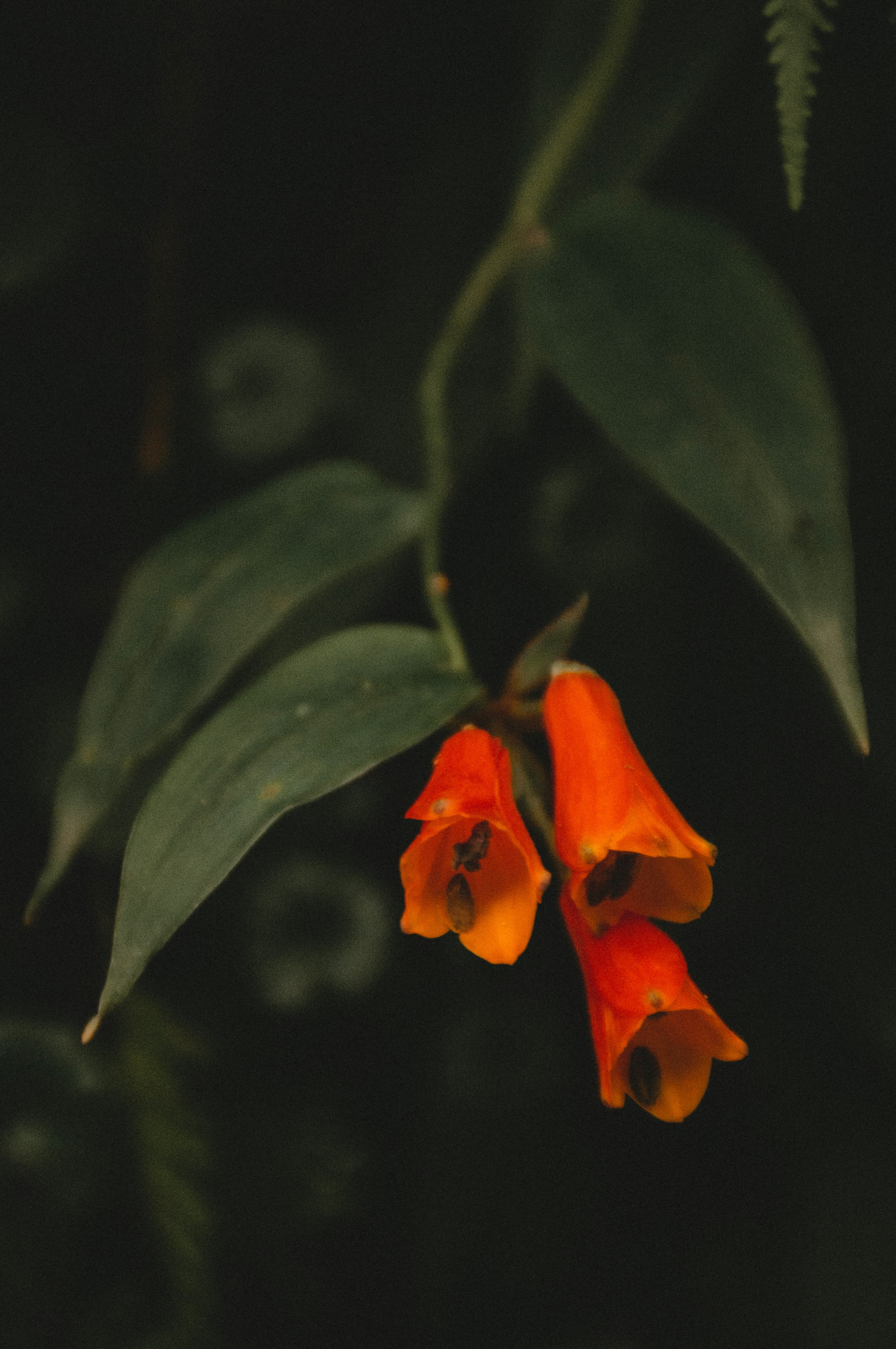 Photo by milo_contreras