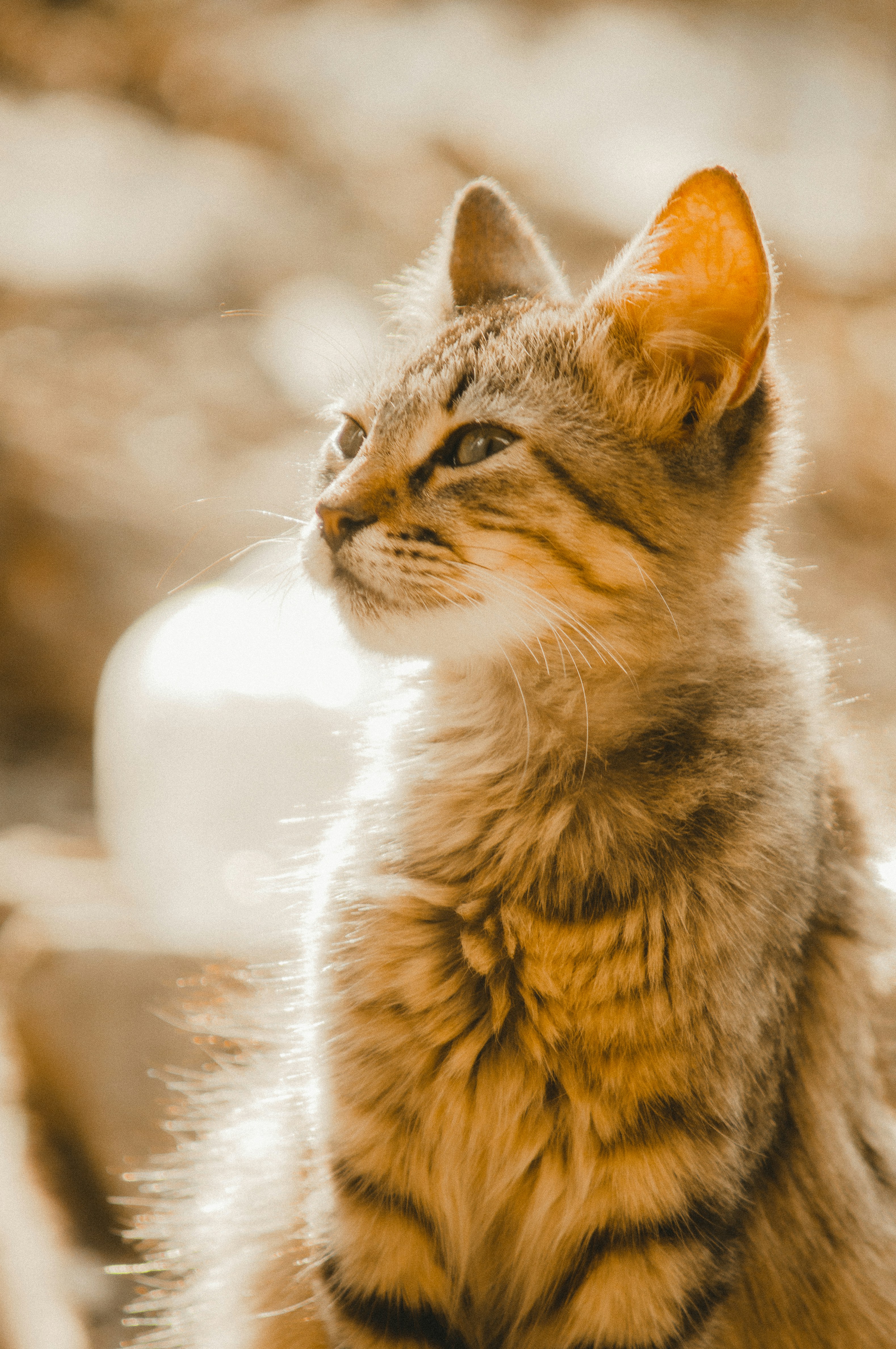 Photo by milo_contreras