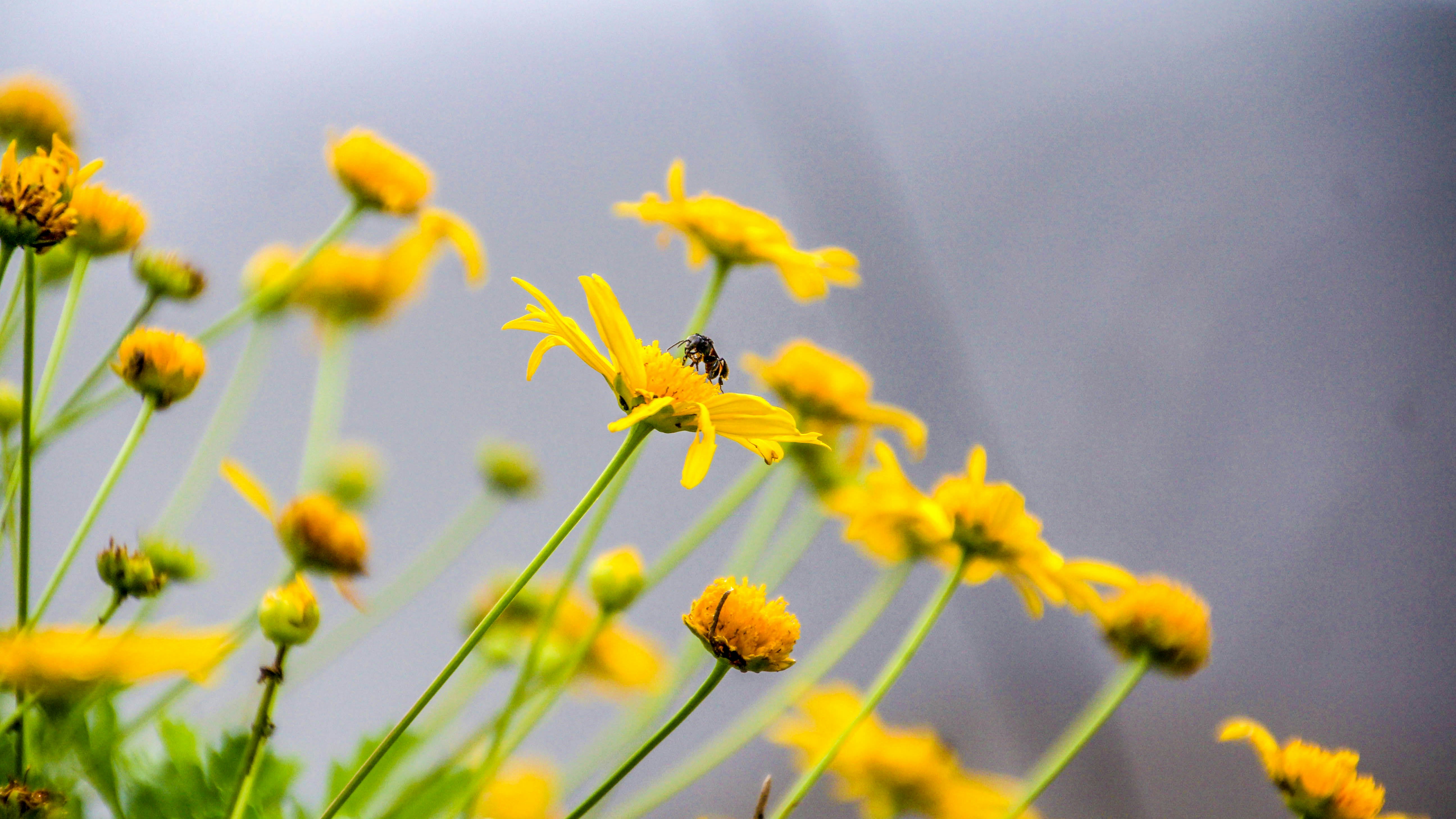 Photo by izdiharsahalan