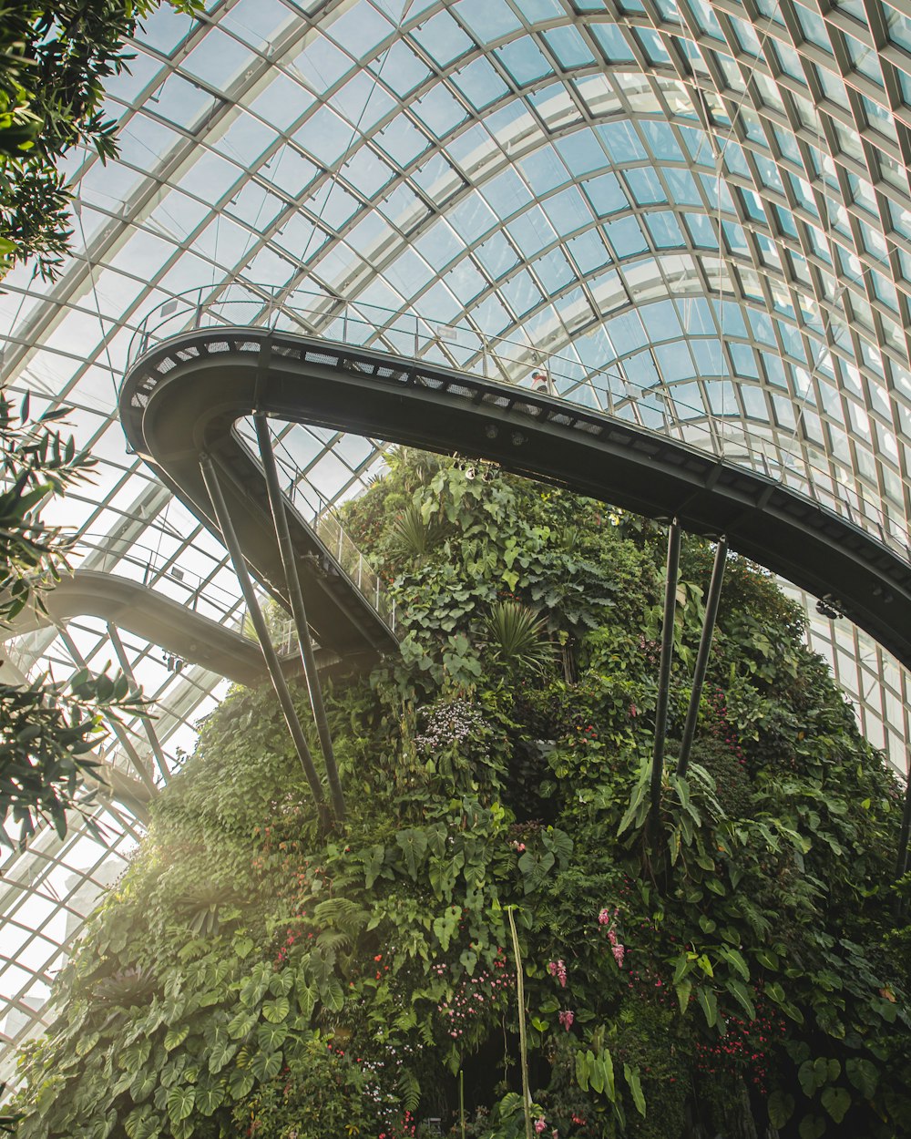 green plants inside a building