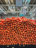 Bright orange carrots and green cucumbers neatly stacked in a market setting.