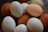 A collection of eggs in various colors, predominantly brown, cream, and pale blue, stacked together in a bowl or similar container. The eggs are closely packed, showcasing their smooth, unblemished surfaces.