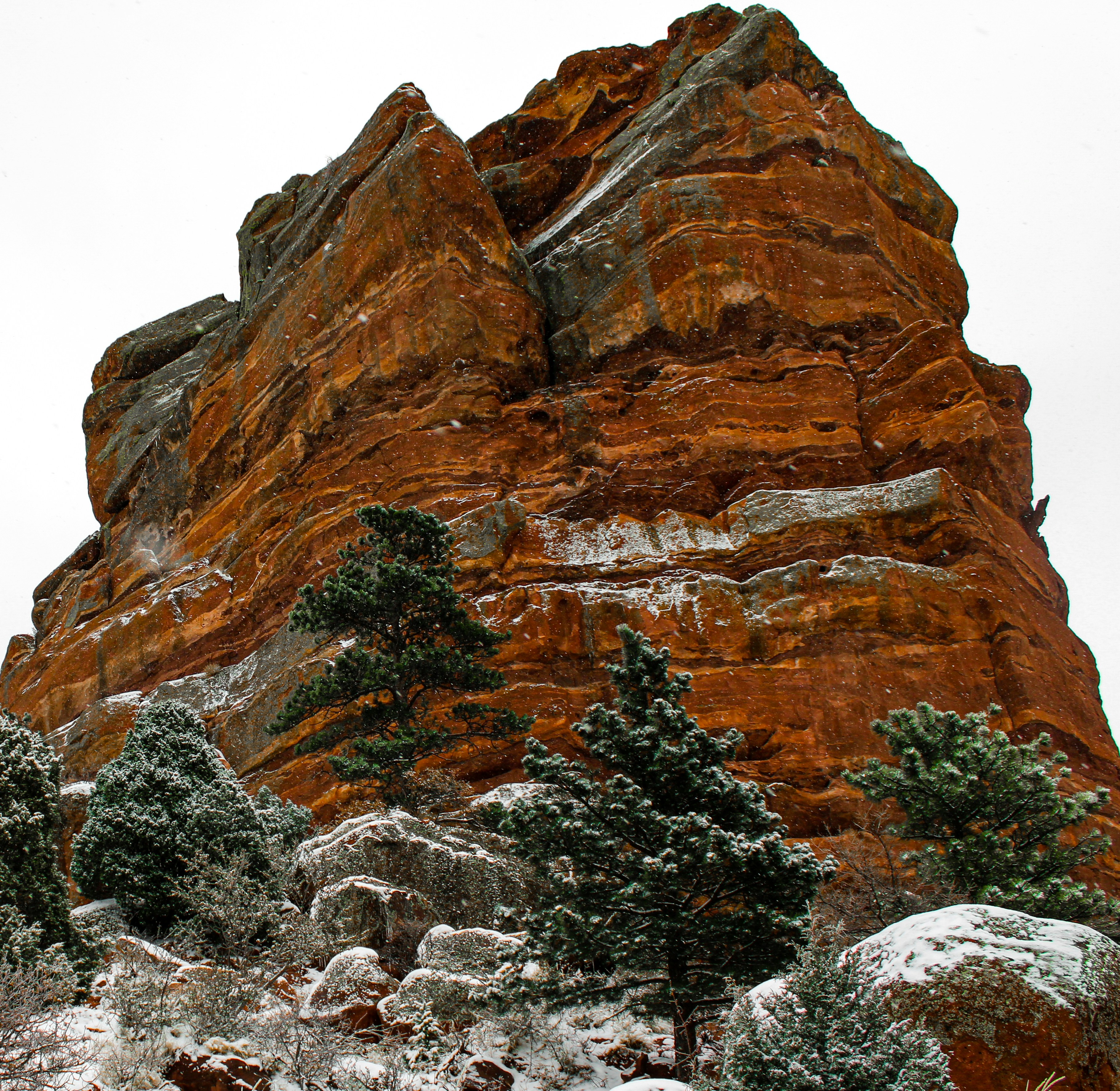 Cover Image for Adventure Hike @ Red Rocks