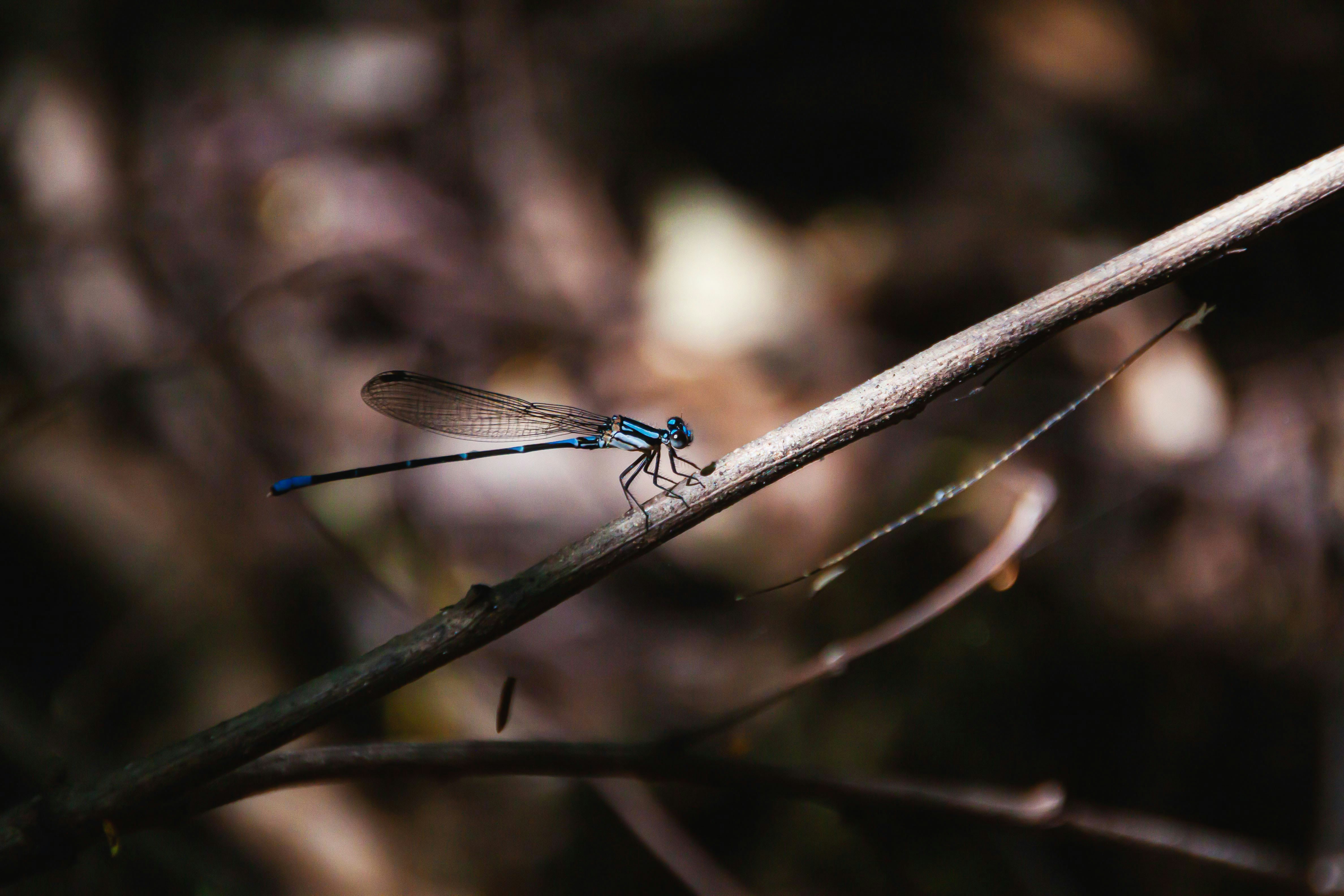 Photo by jrlightcolor