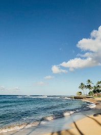 A serene beach scene with gentle waves and palm trees.