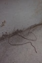 brown coated wire on white concrete wall