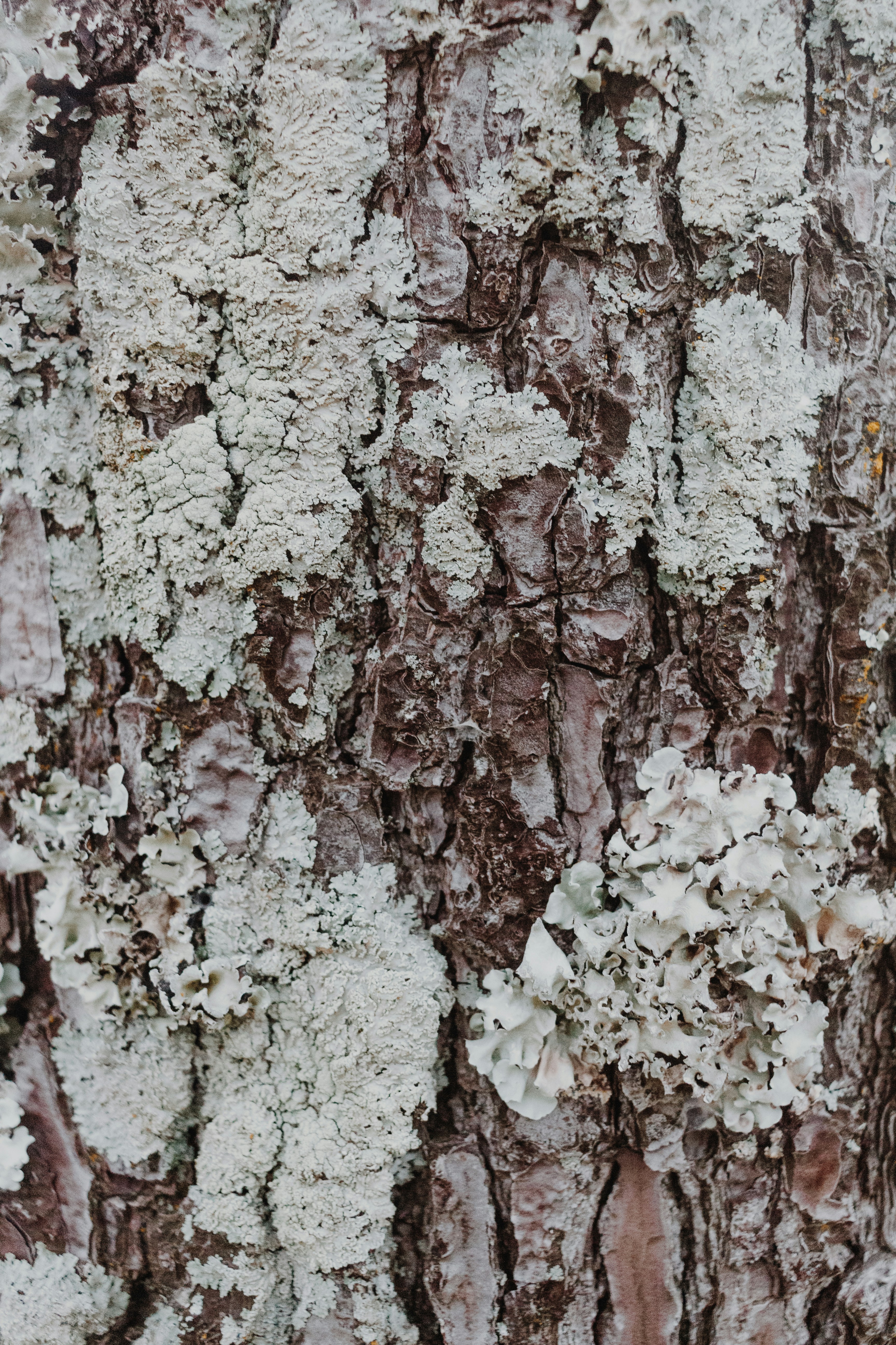 Photo by sincerelymedia