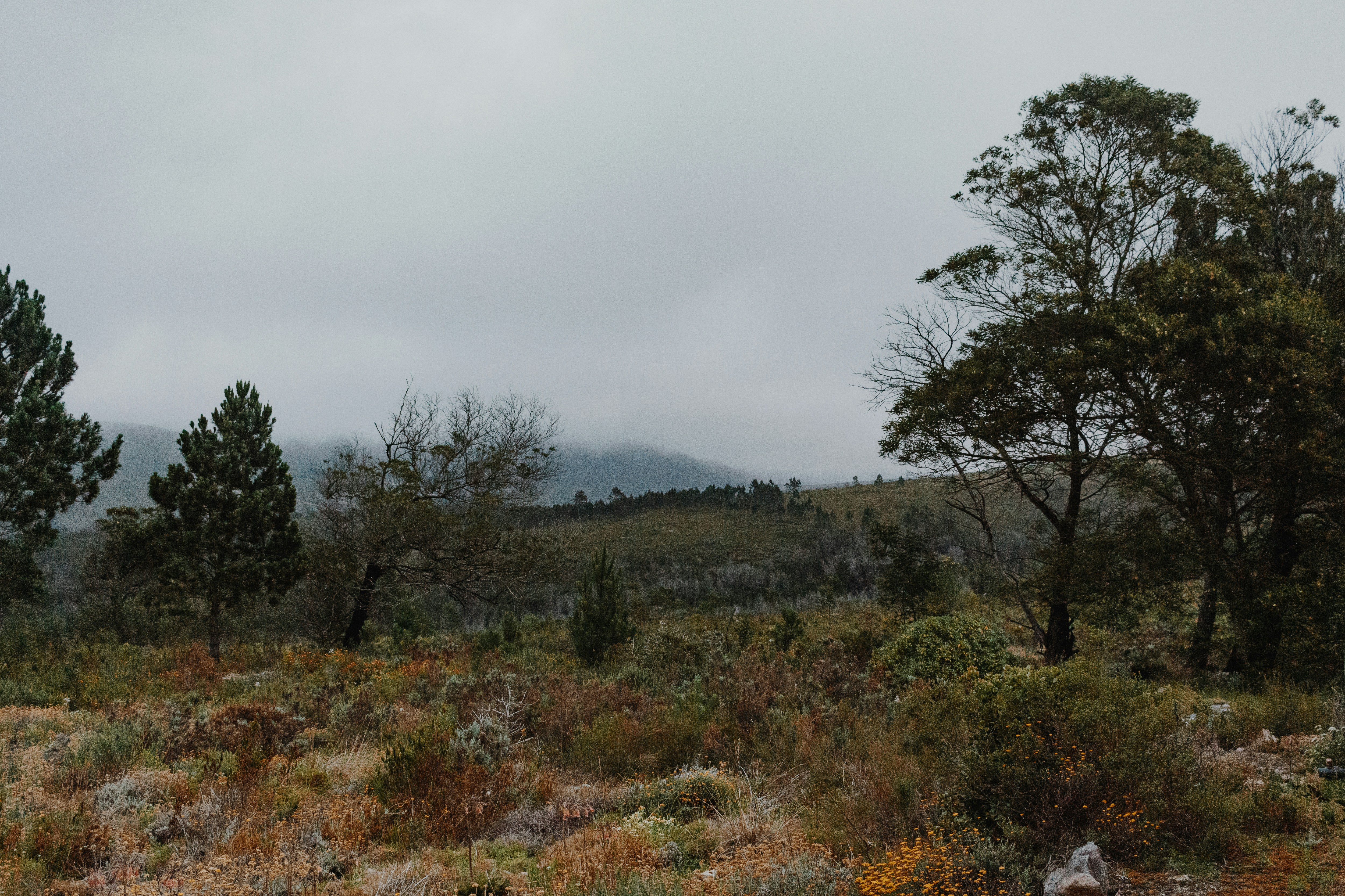 Photo by sincerelymedia