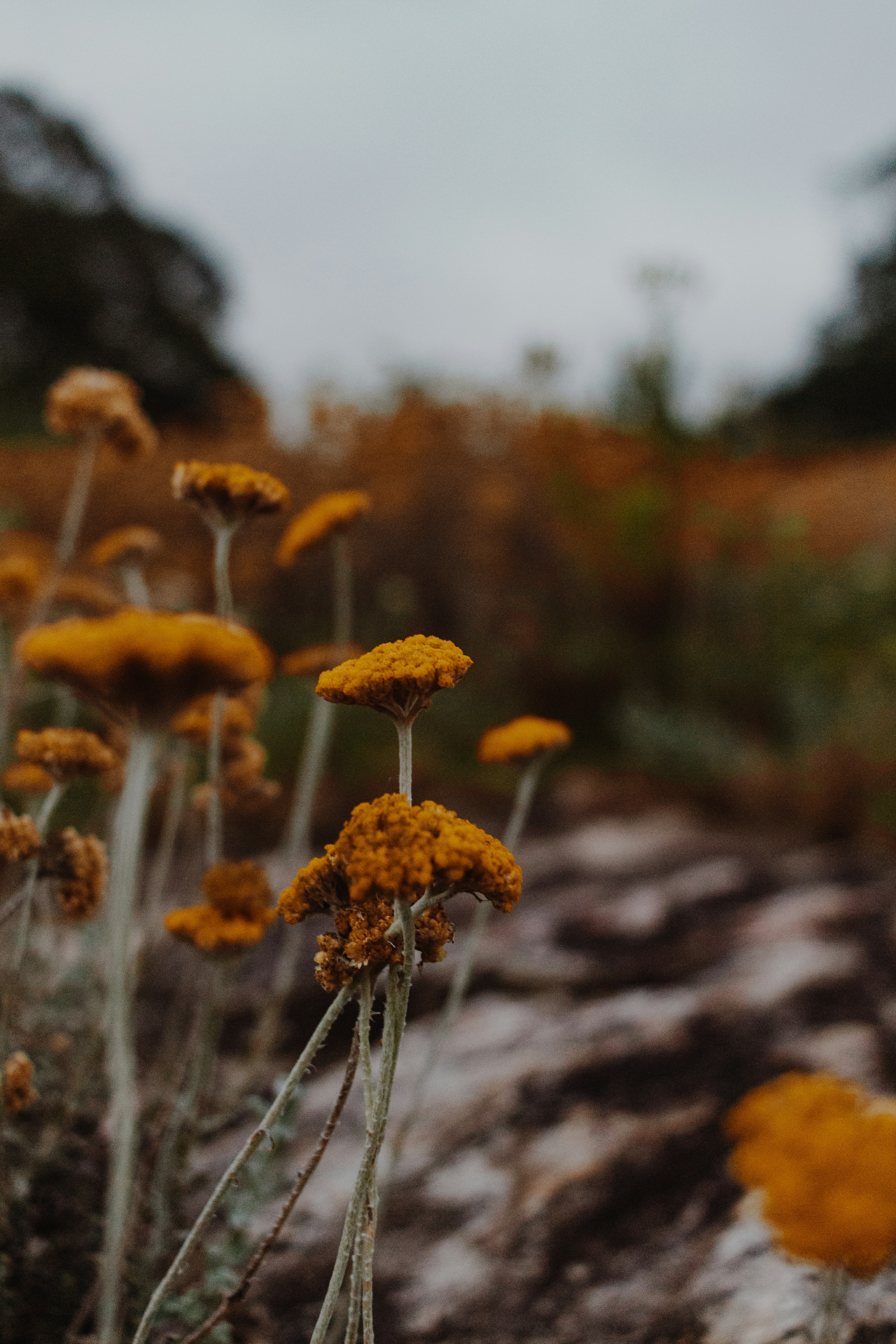 Photo by sincerelymedia