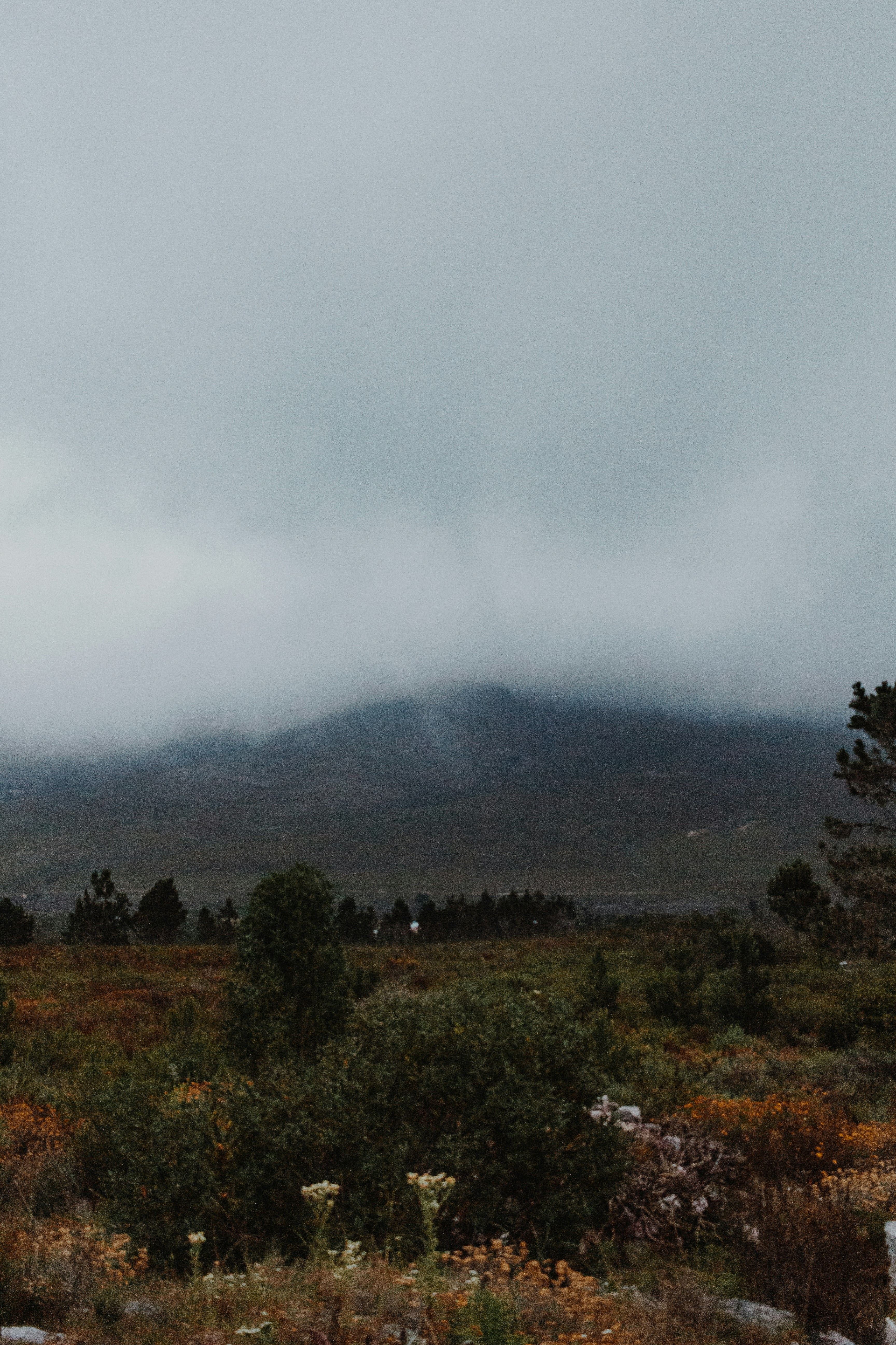 Photo by sincerelymedia