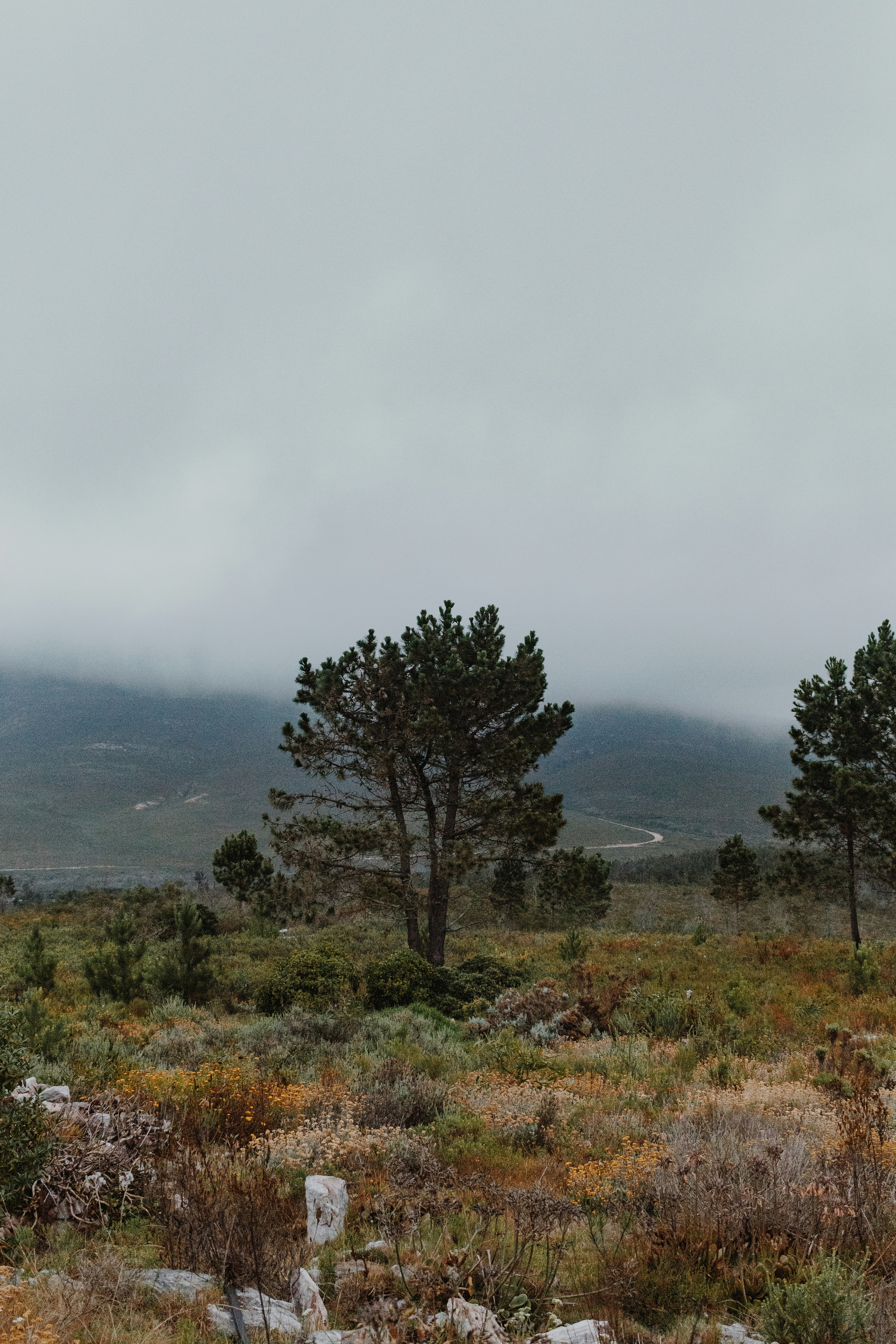 Photo by sincerelymedia