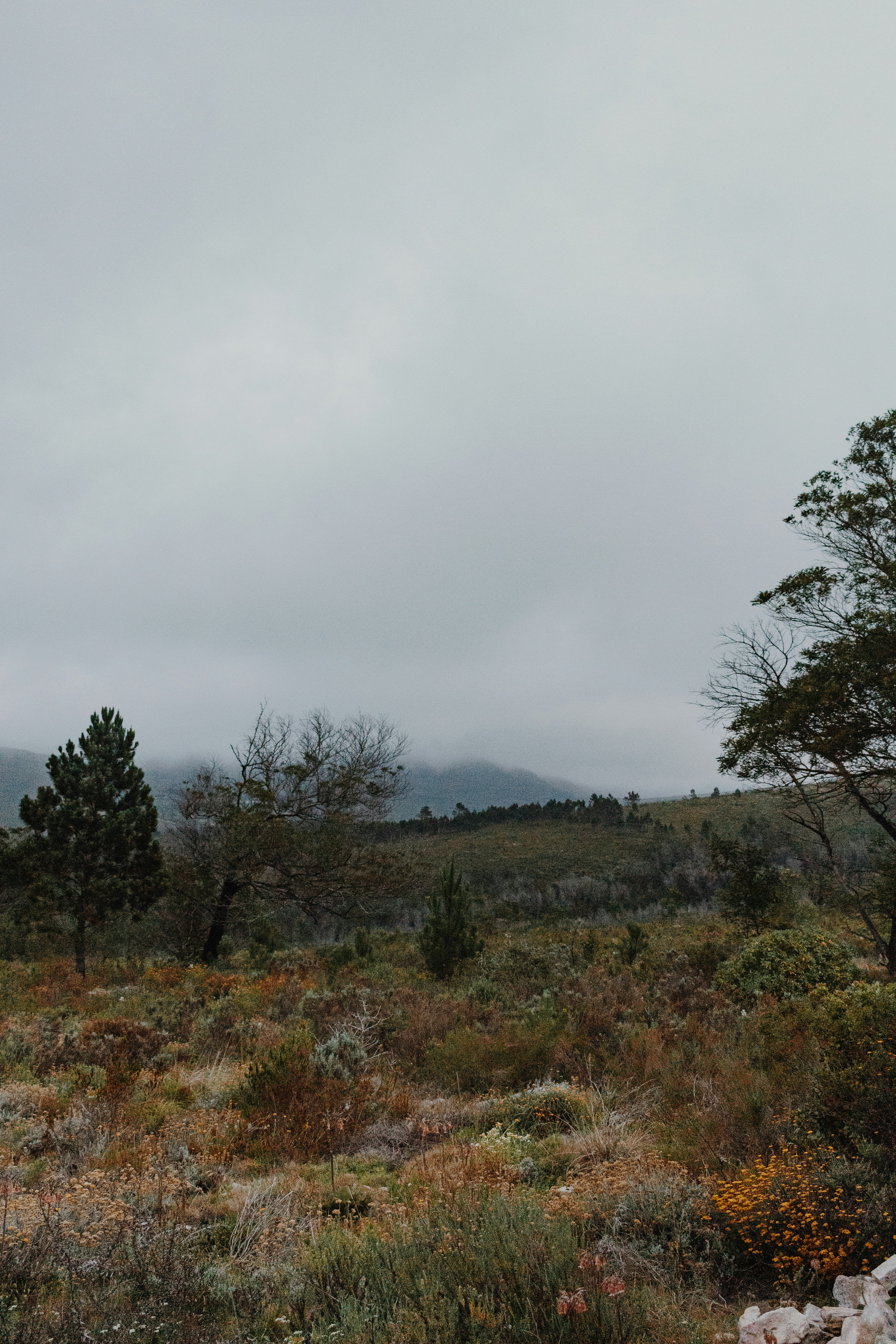 Photo by sincerelymedia