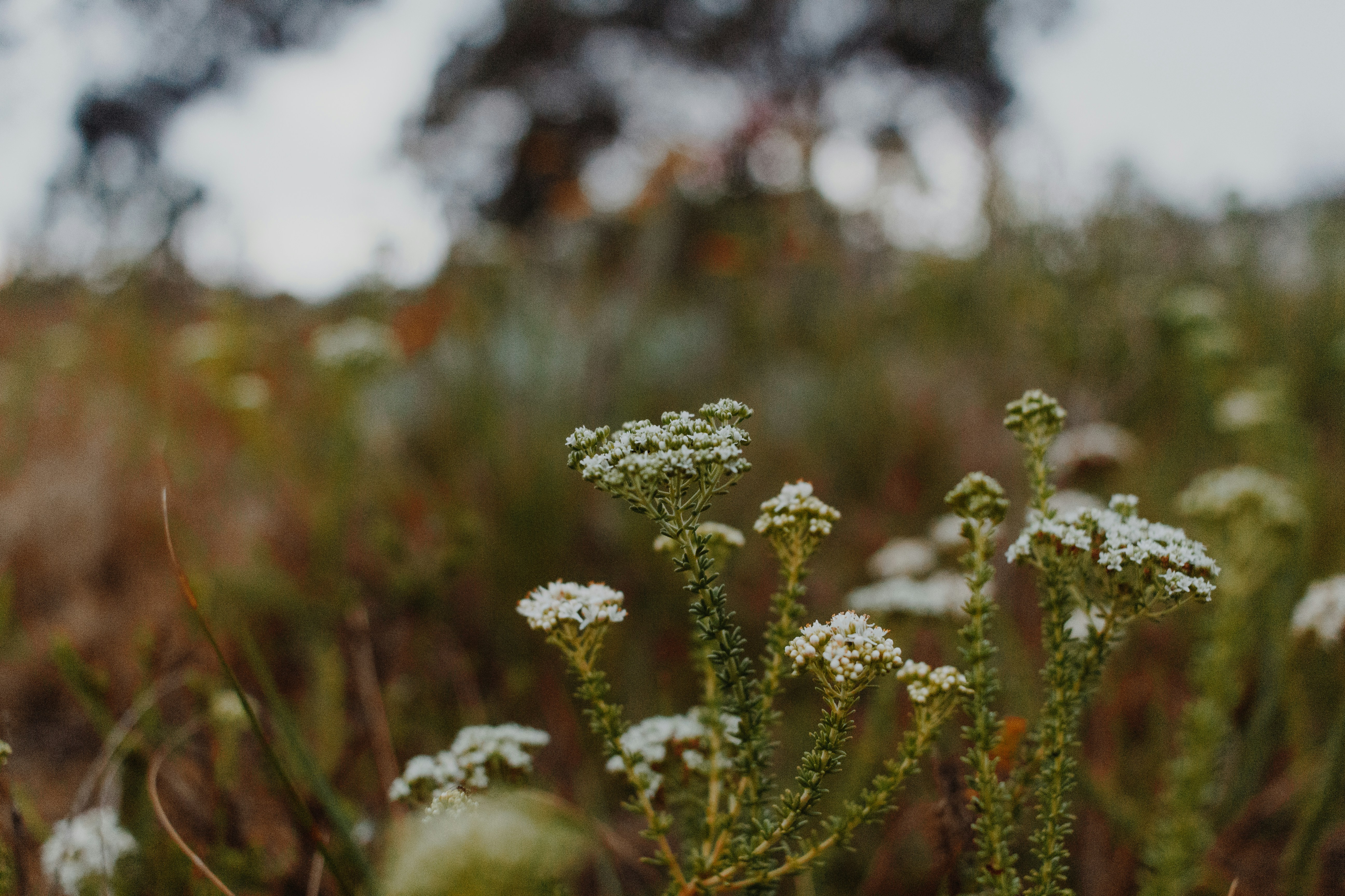 Photo by sincerelymedia