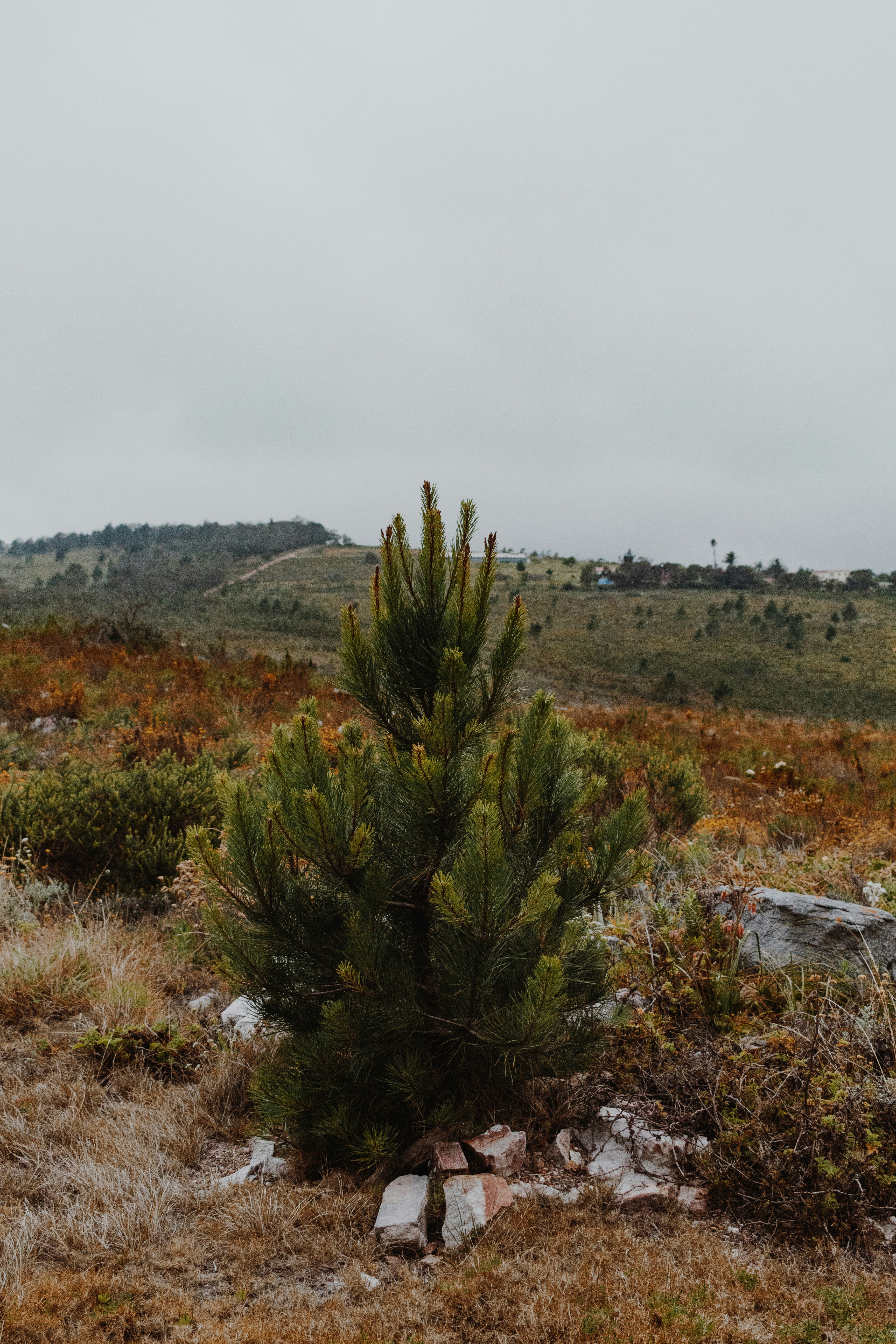 Photo by sincerelymedia