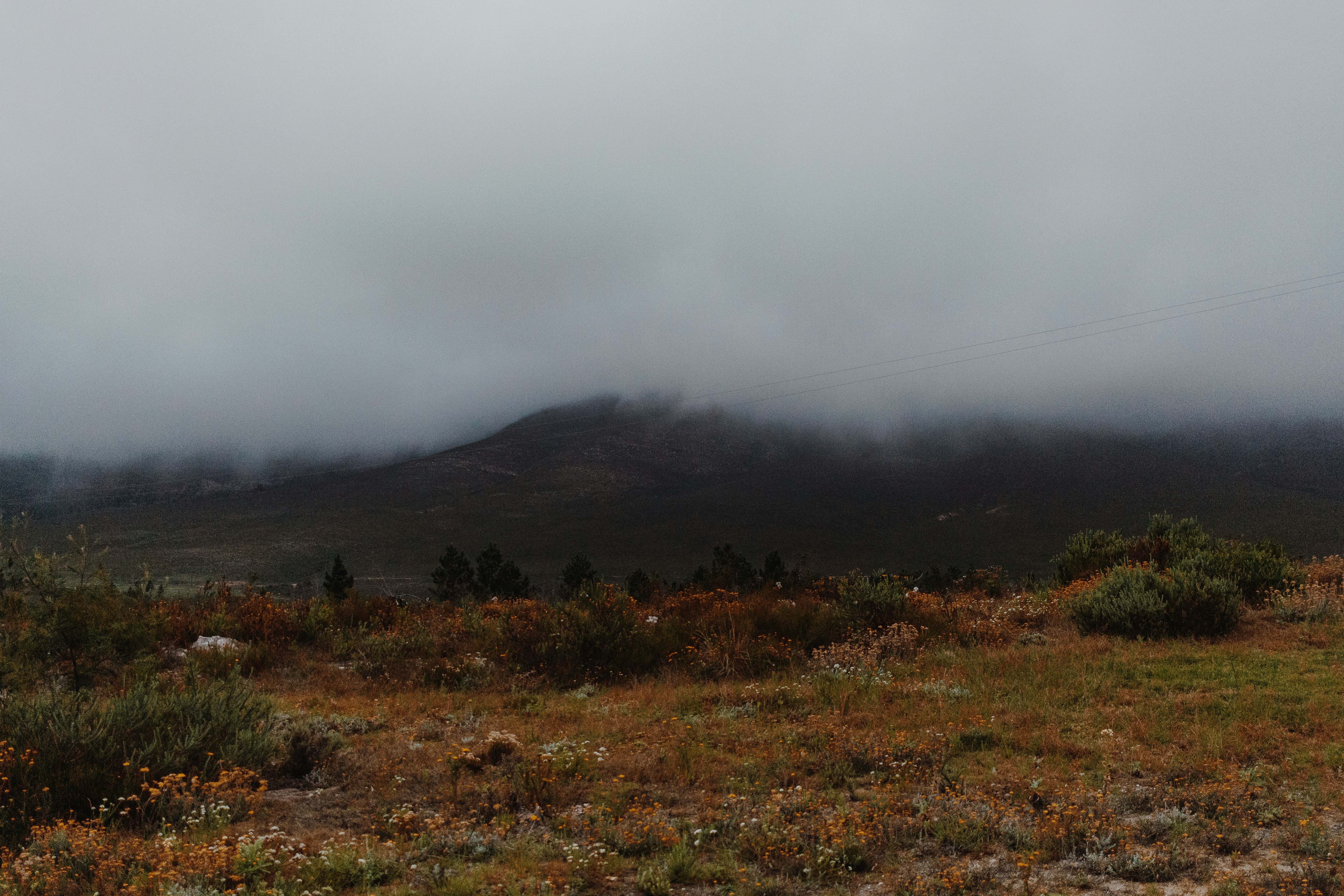 Photo by sincerelymedia