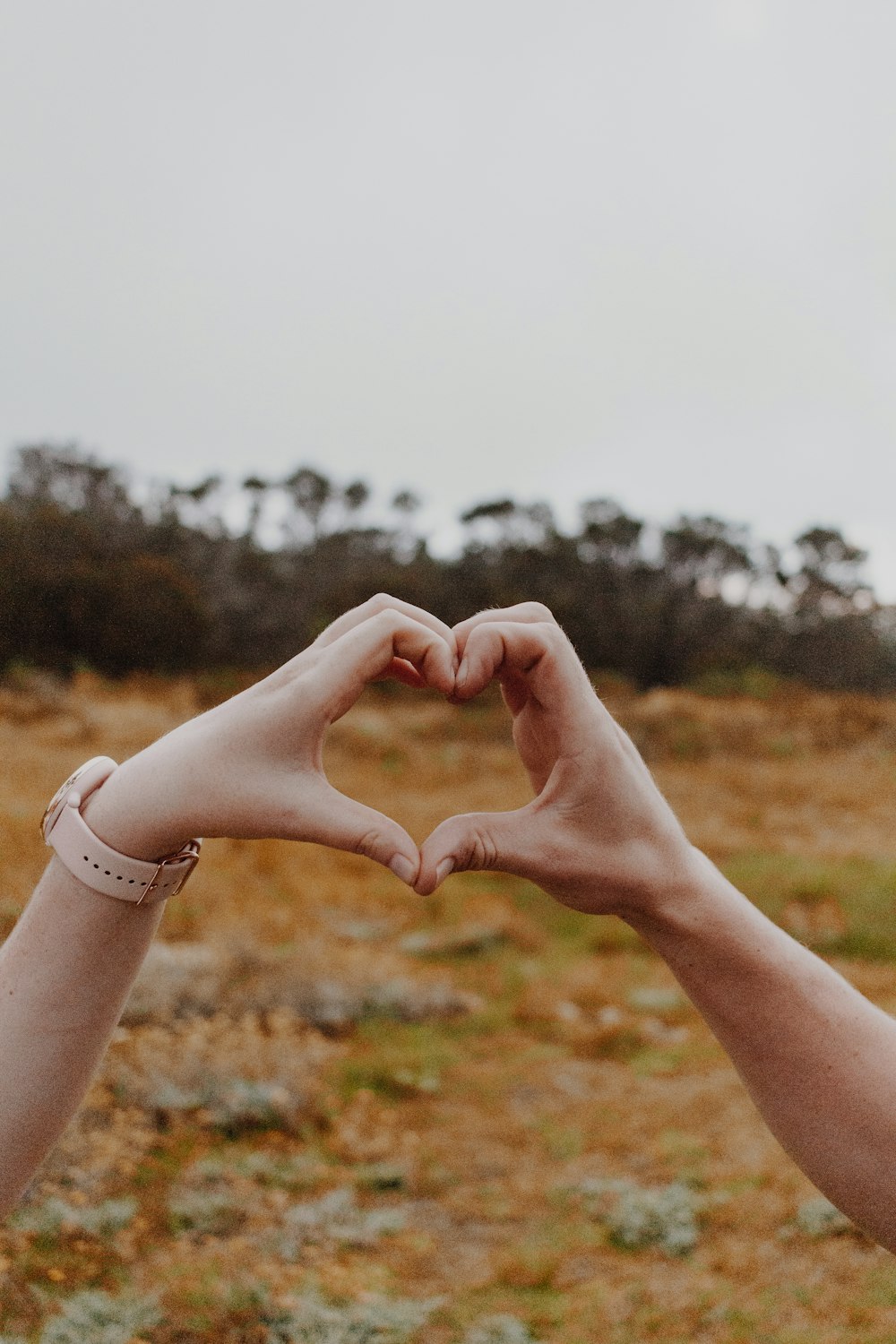 750+ Heart Hand Pictures [HQ] | Download Free Images on Unsplash
