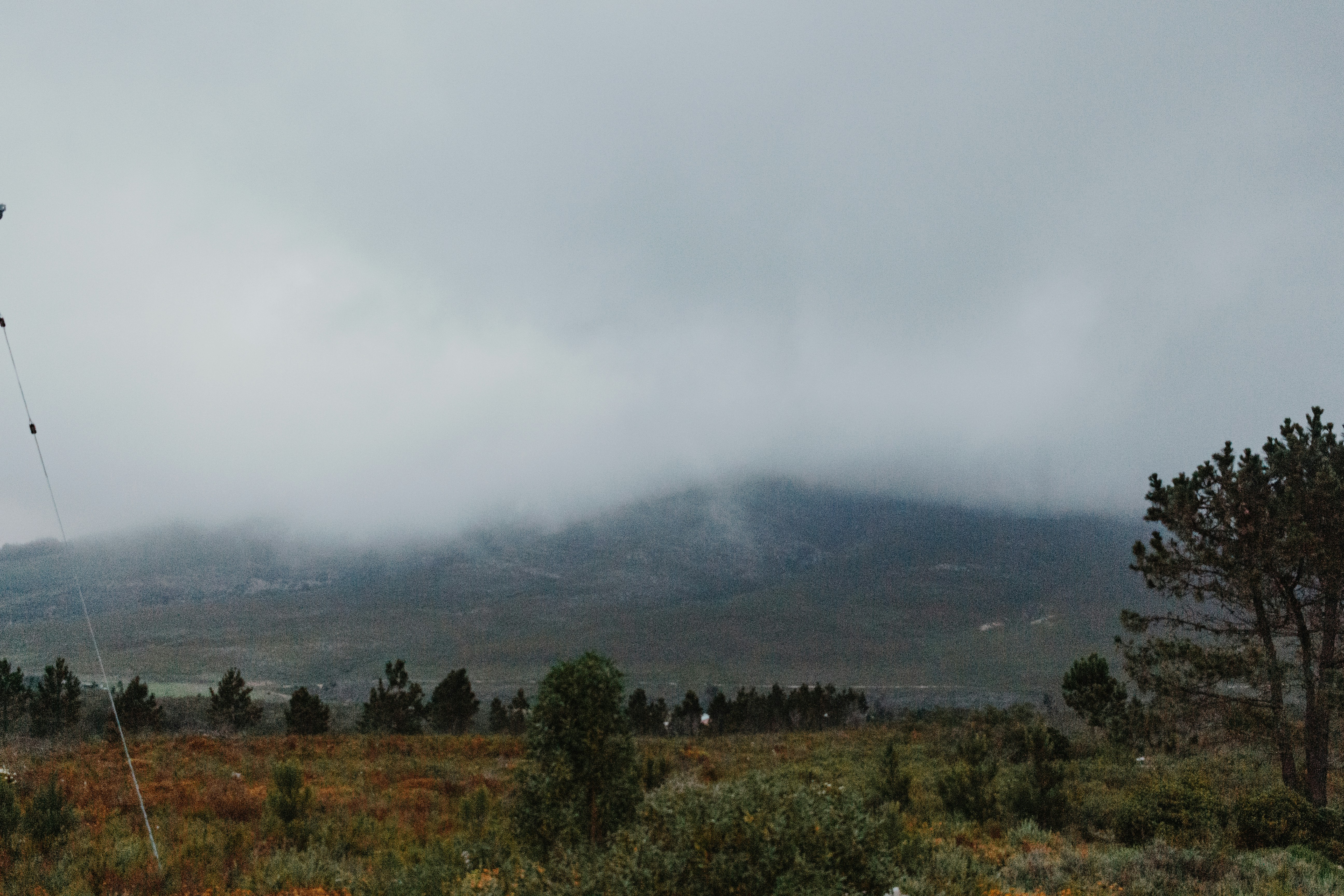 Photo by sincerelymedia