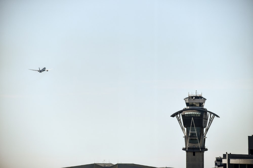 black and white bird flying over the building during daytime