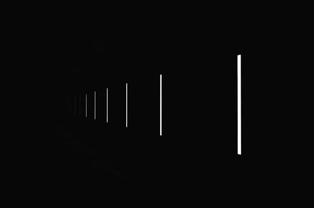 black line on white background