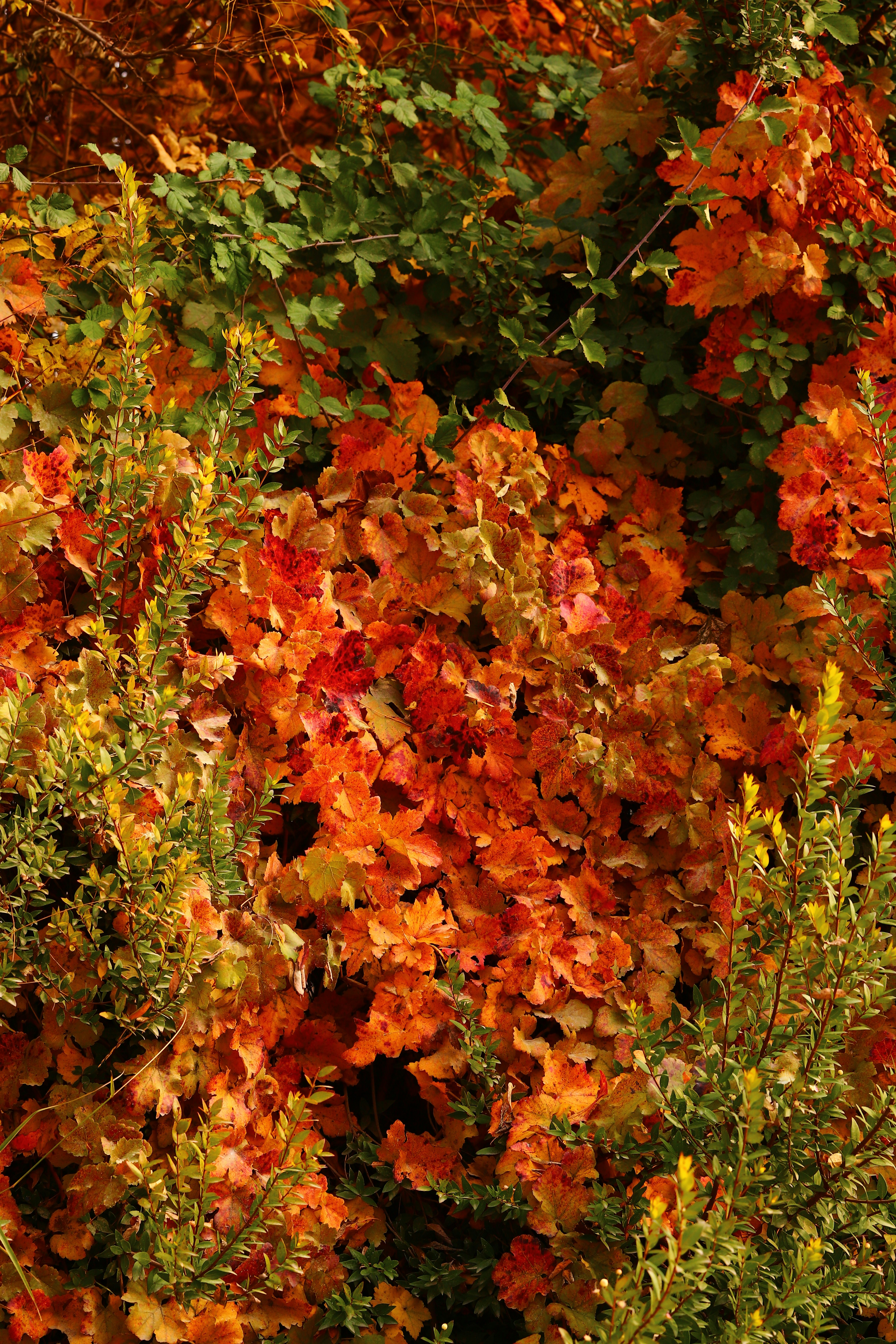 Photo by zrngngharib