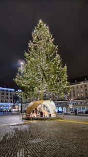 The illuminated nativity scene set up in the central plaza during the evening.