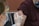 person in brown long sleeve shirt with white bandage on right hand