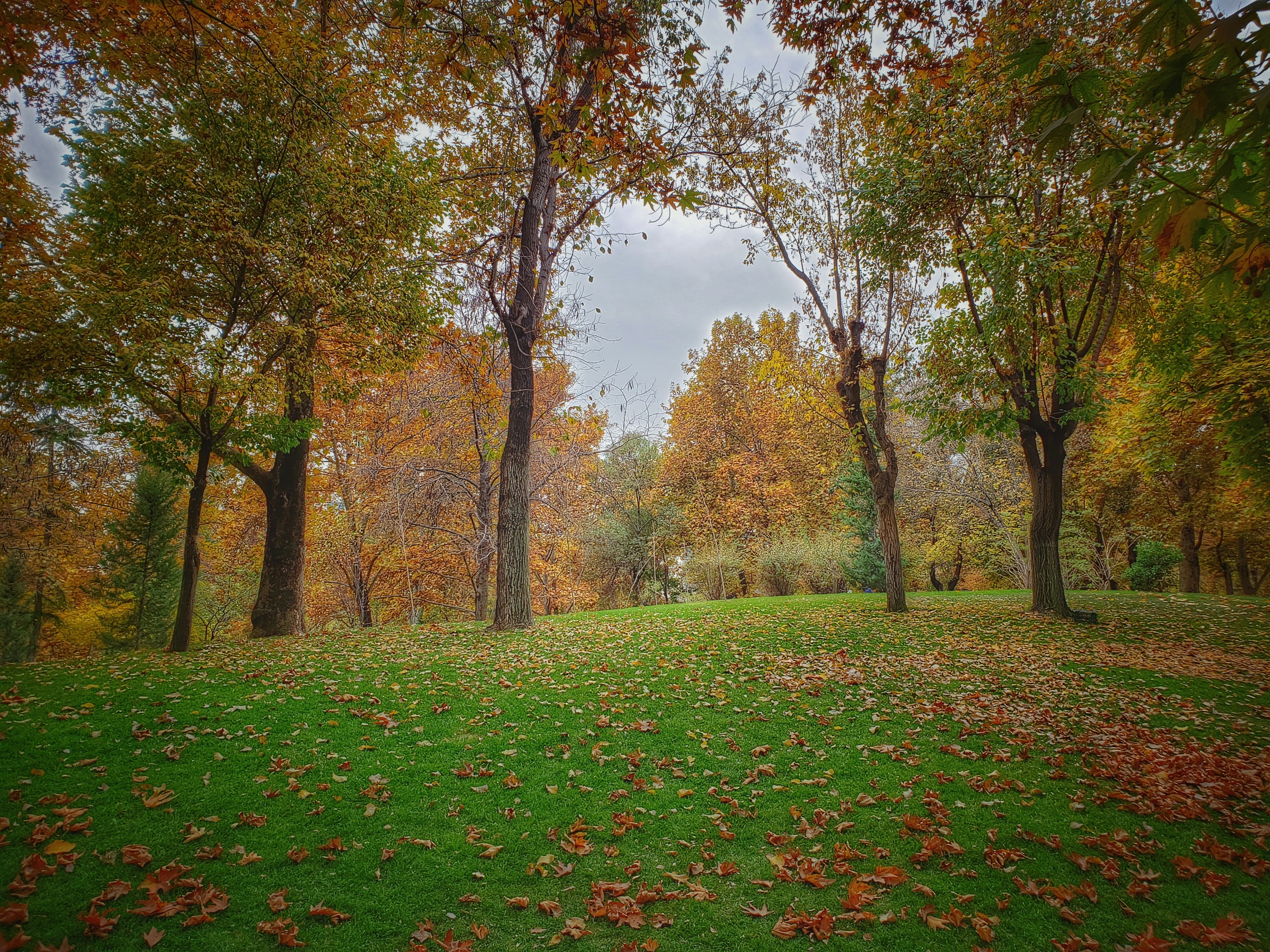 Photo by gholipasandi