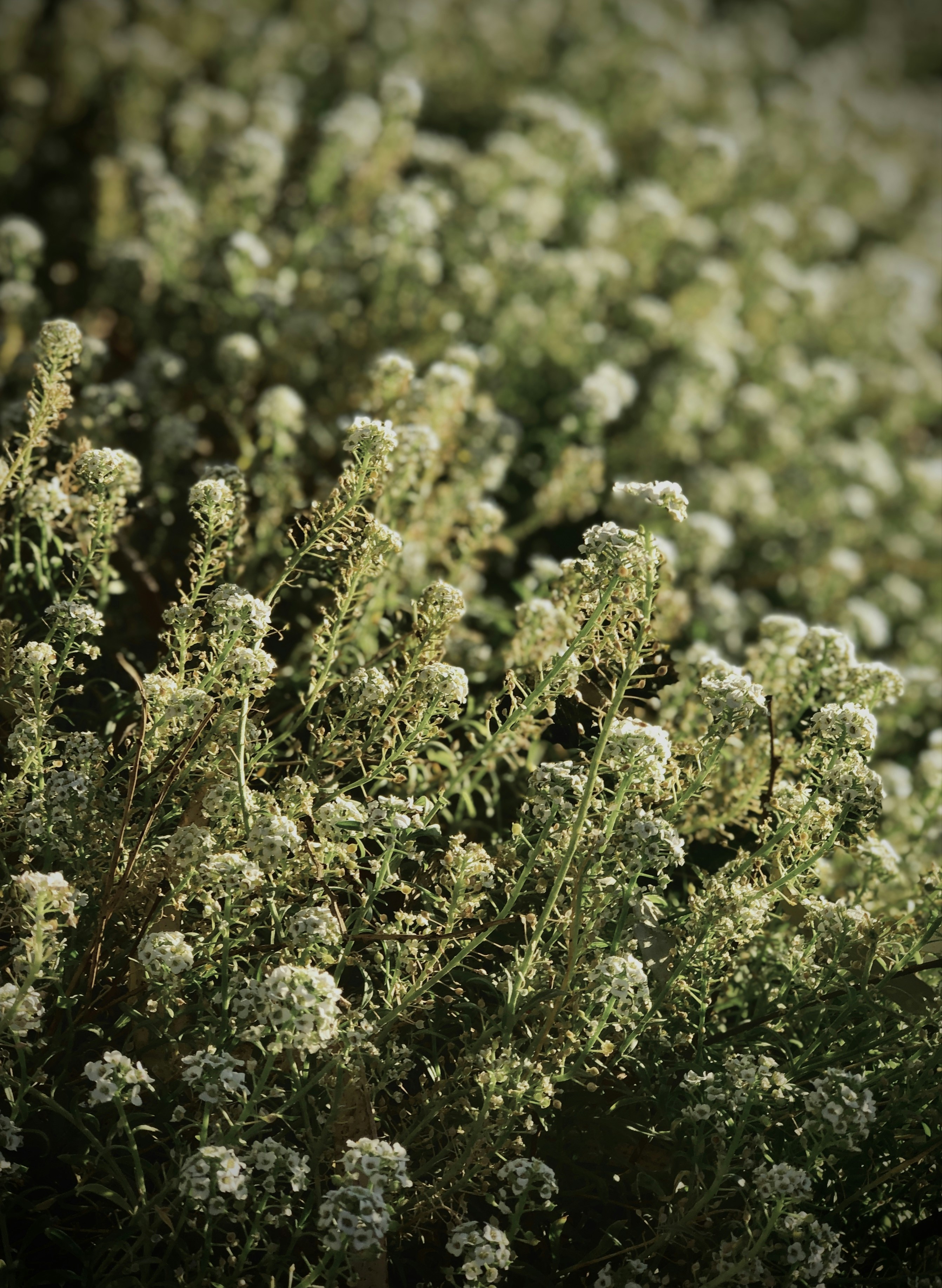 Photo by photography_yeti