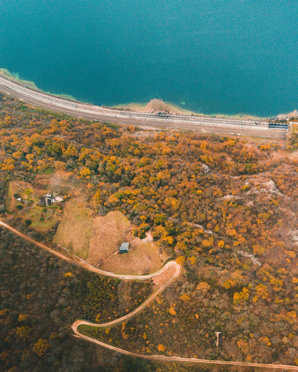 aerial view of green trees and body of water during daytime