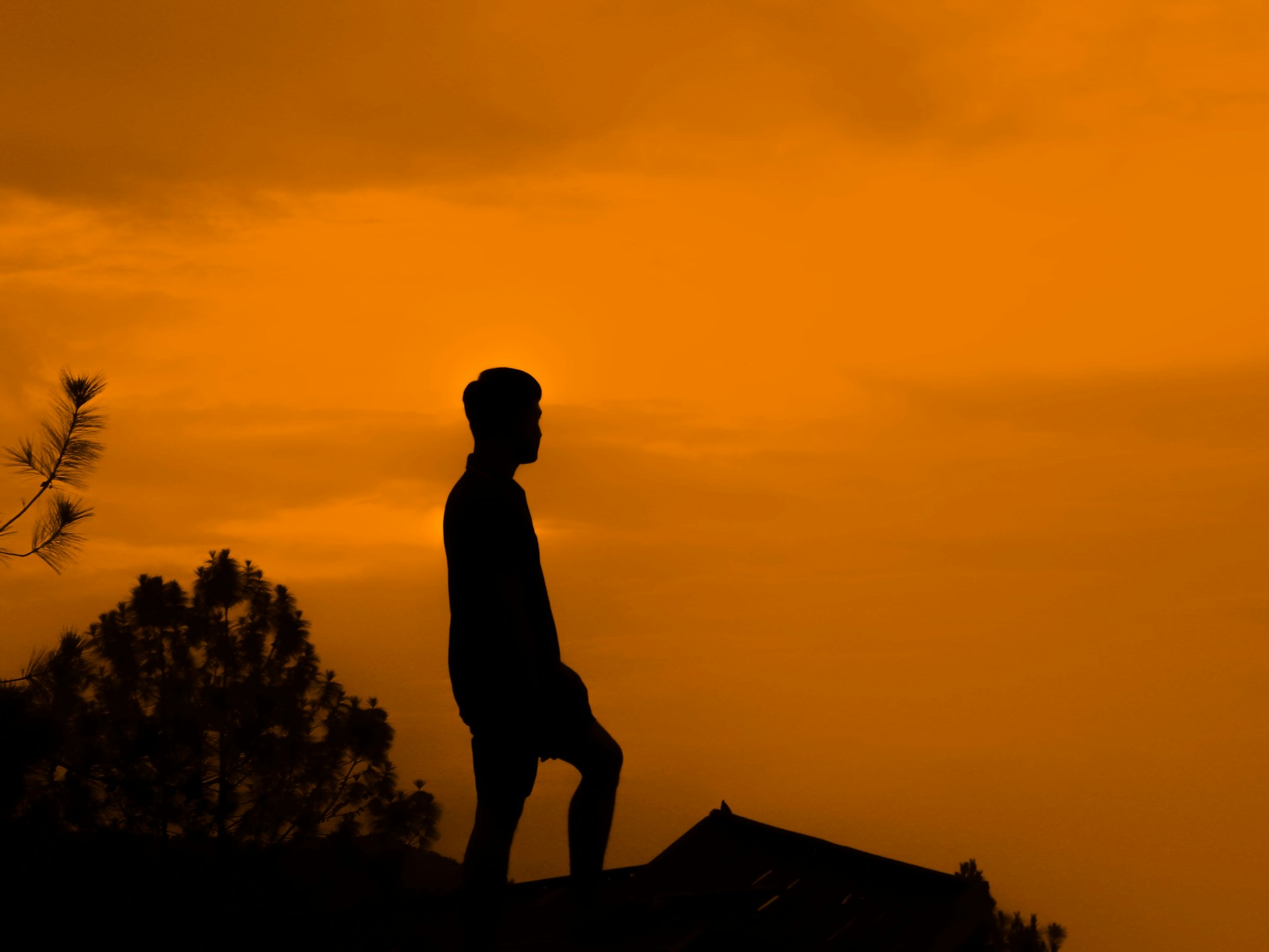 silhouette of man standing on rock during sunset