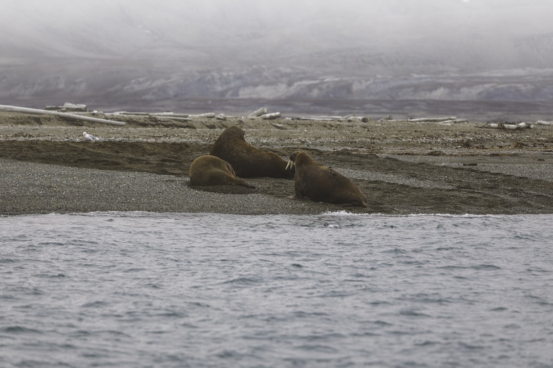How to Plan an Arctic Expedition