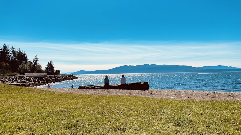 2 people sitting on bench near sea during daytime