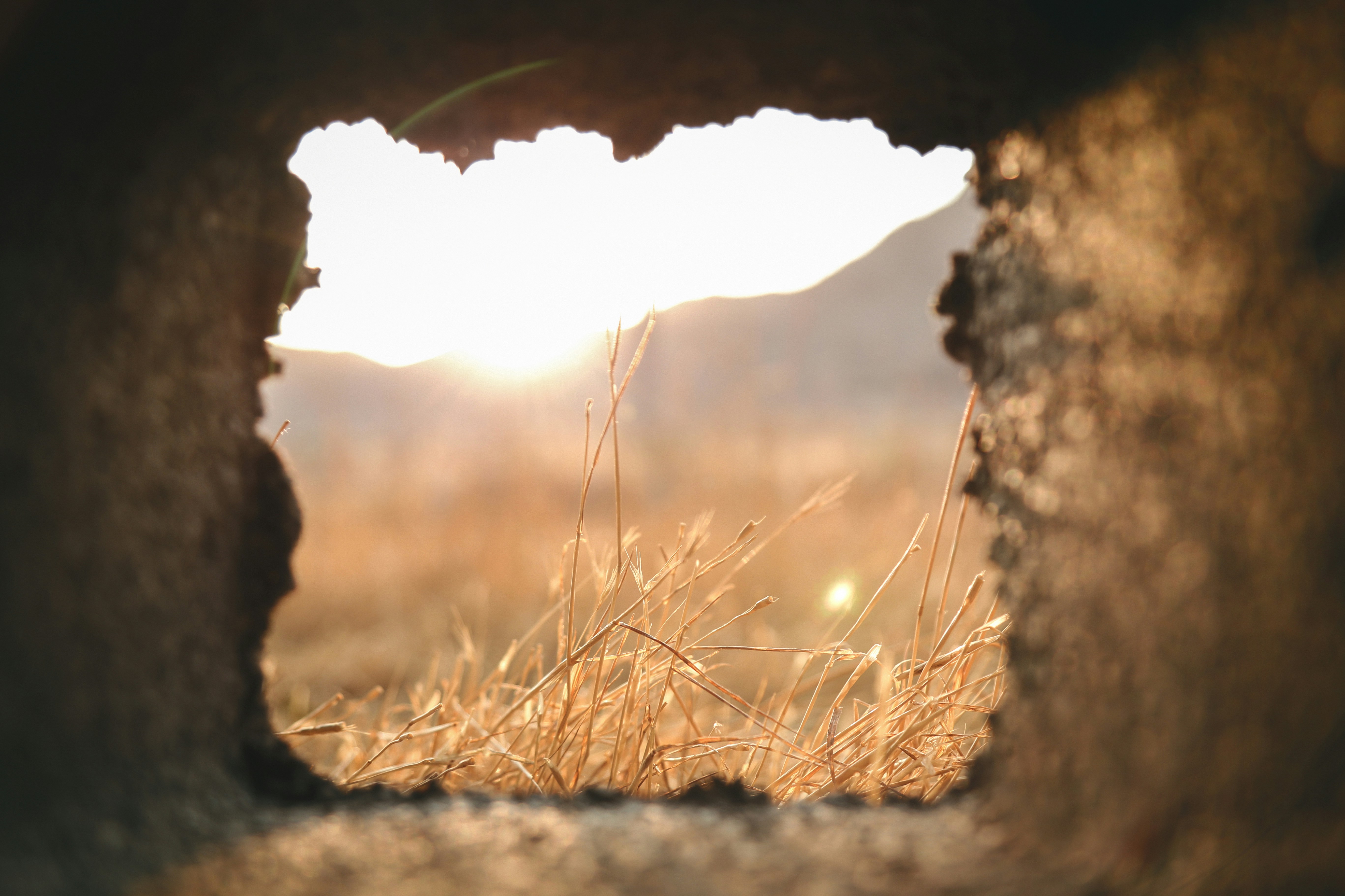 zaj. 5 Grid, Layout,  Diorama