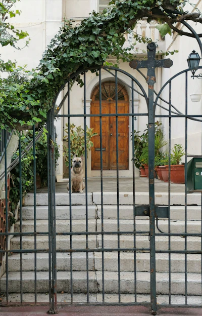 brown wooden door with black metal gate
