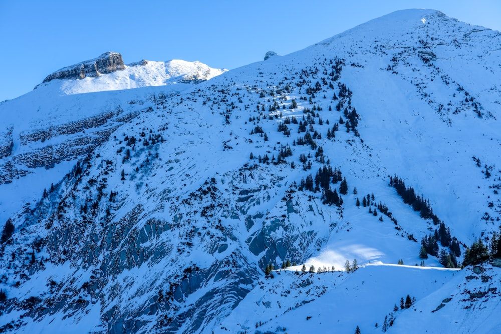 snow covered mountain during daytime