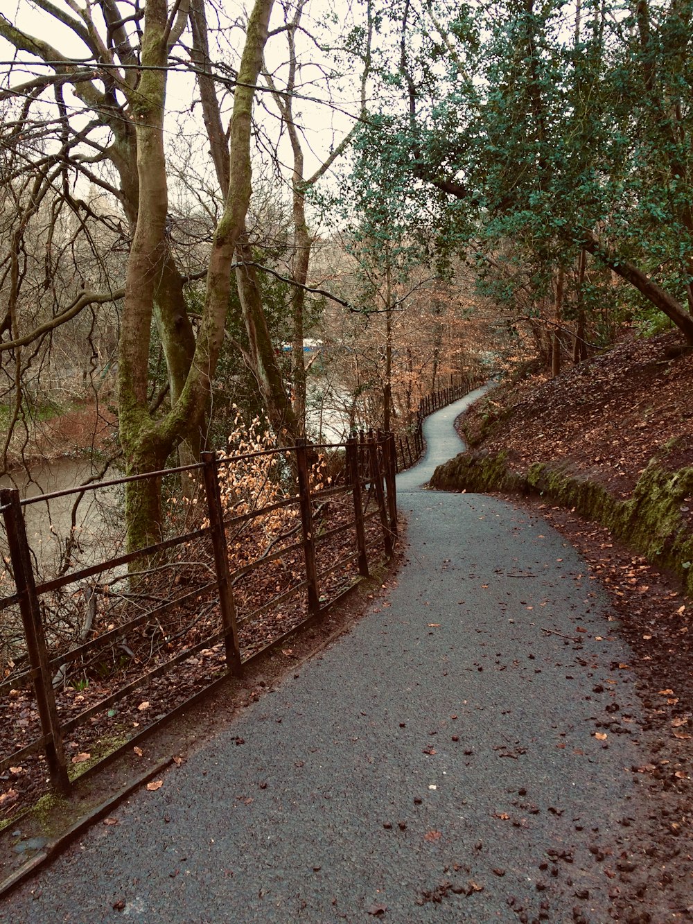 gray concrete road between trees during daytime