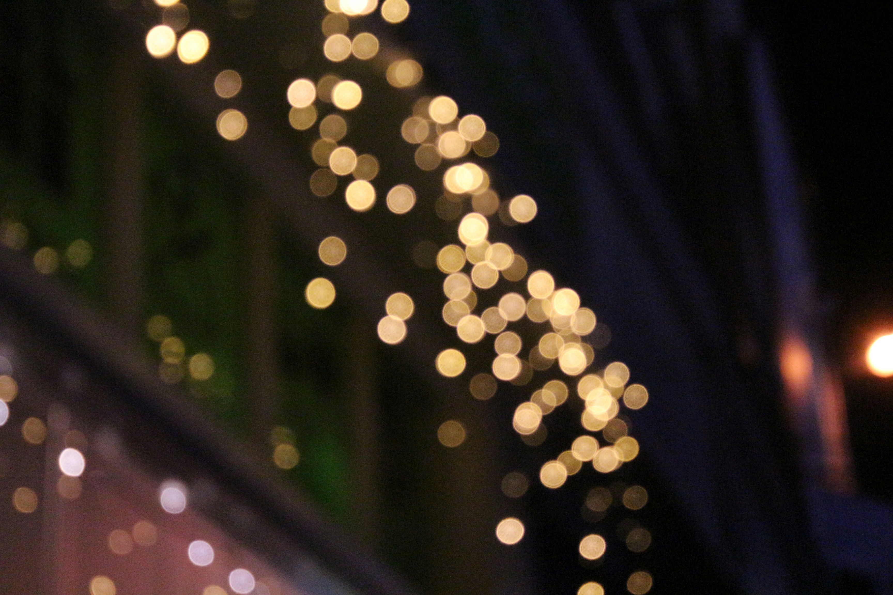 Photo by lidia_nikole