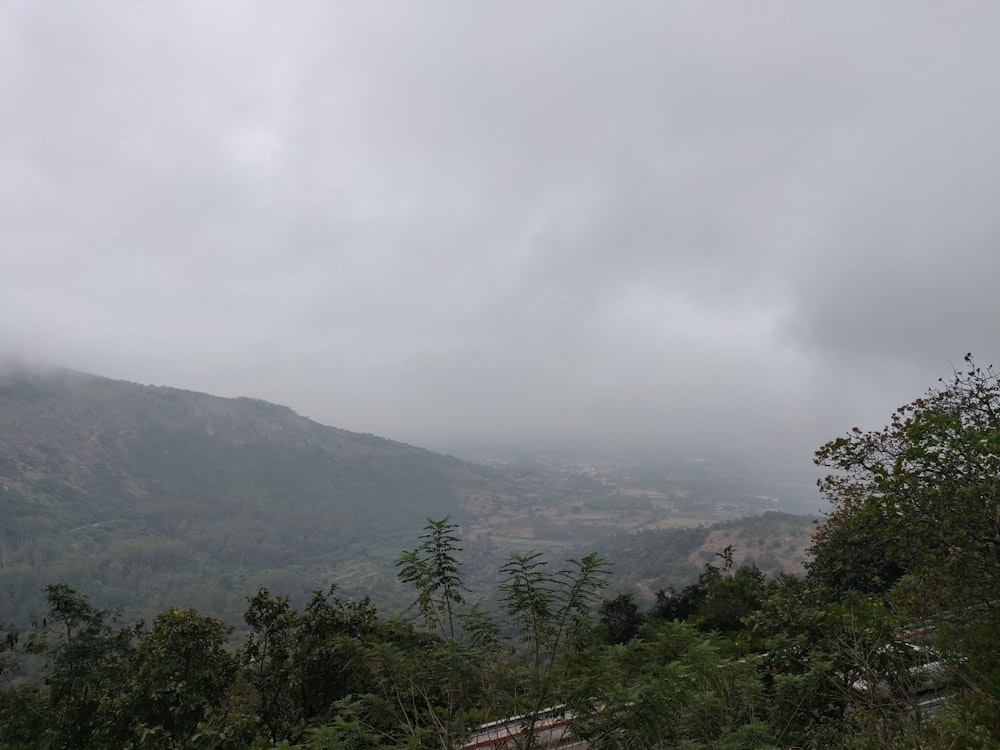 Grüne Bäume auf dem Berg tagsüber unter weißen Wolken