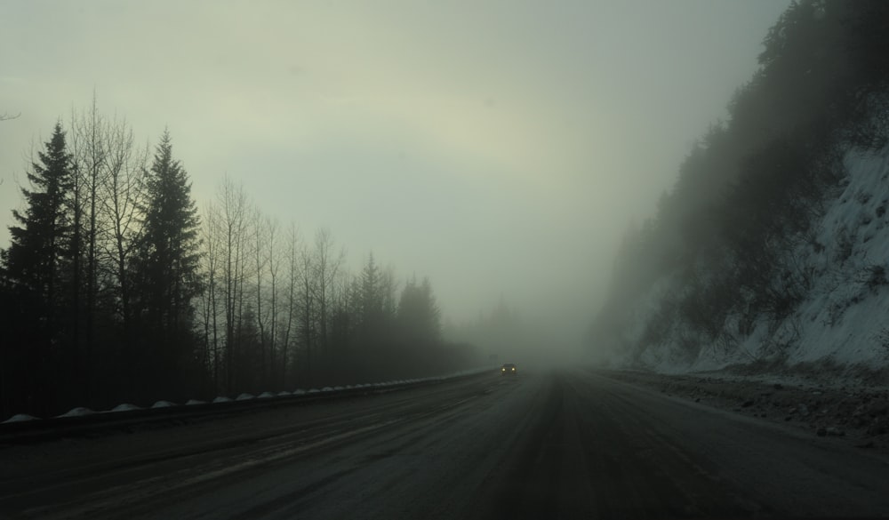 schwarze Asphaltstraße zwischen grünen Bäumen mit Nebel bedeckt