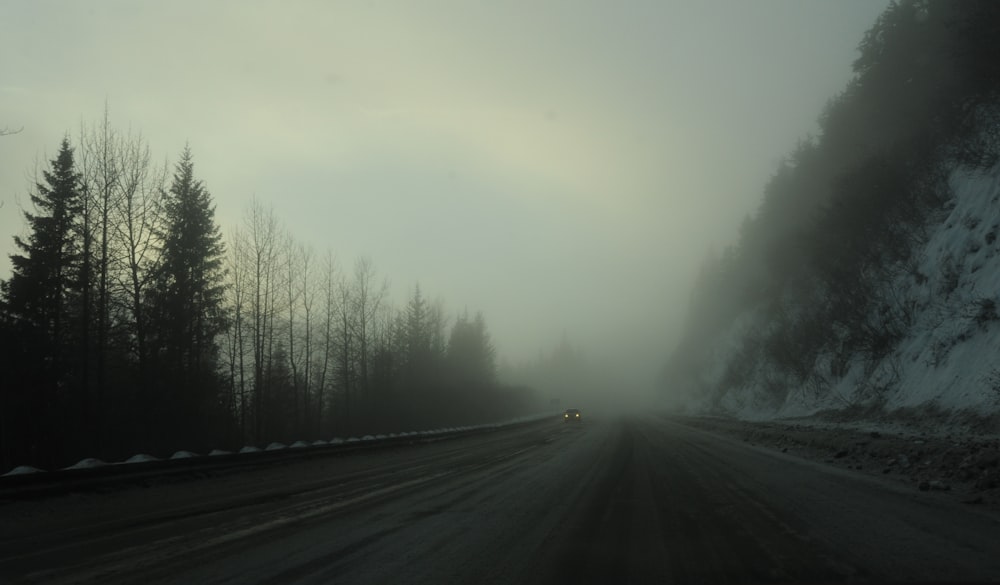 black asphalt road between green trees covered with fog