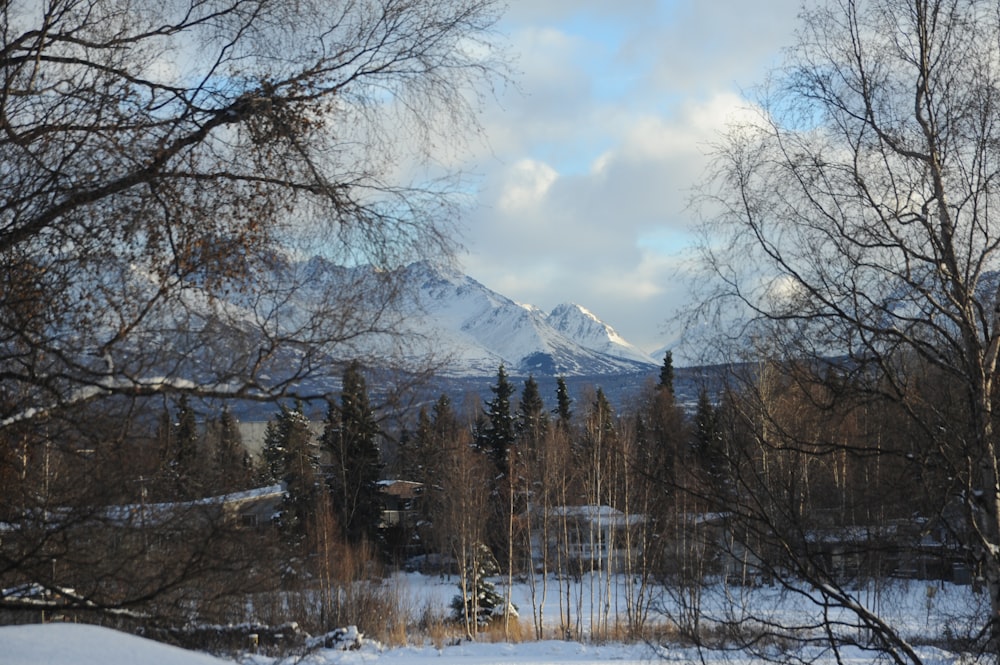 snow covered mountain under cloudy sky during daytime