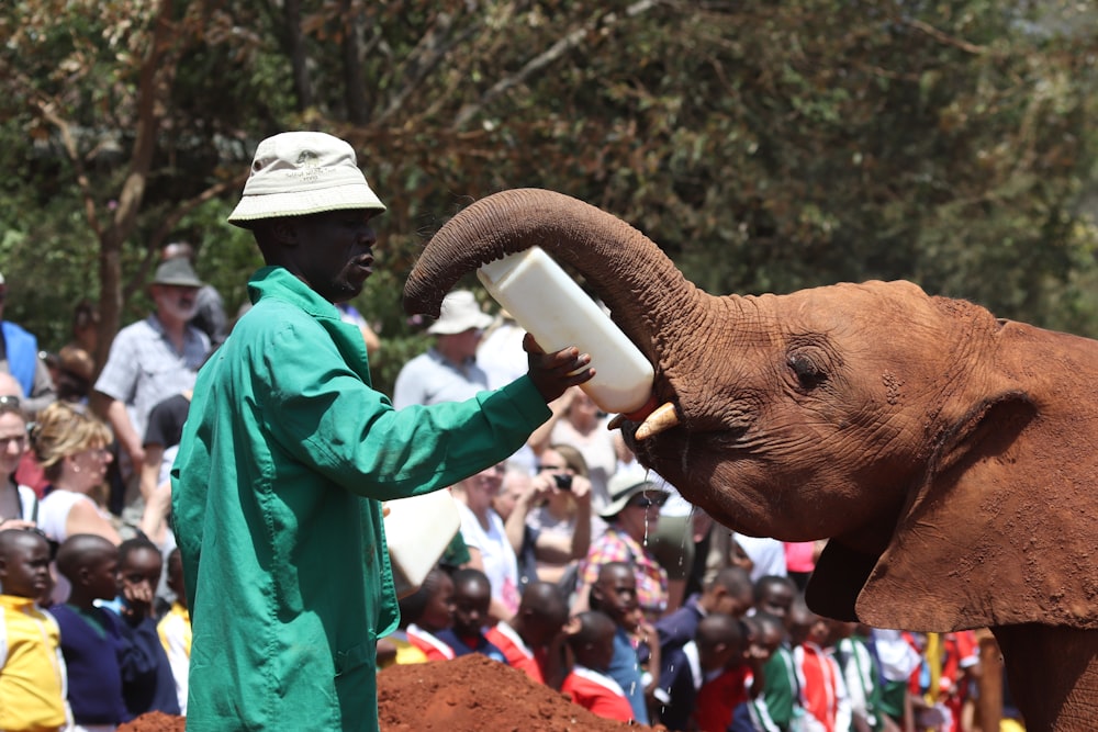 people in green jacket standing beside brown elephant during daytime