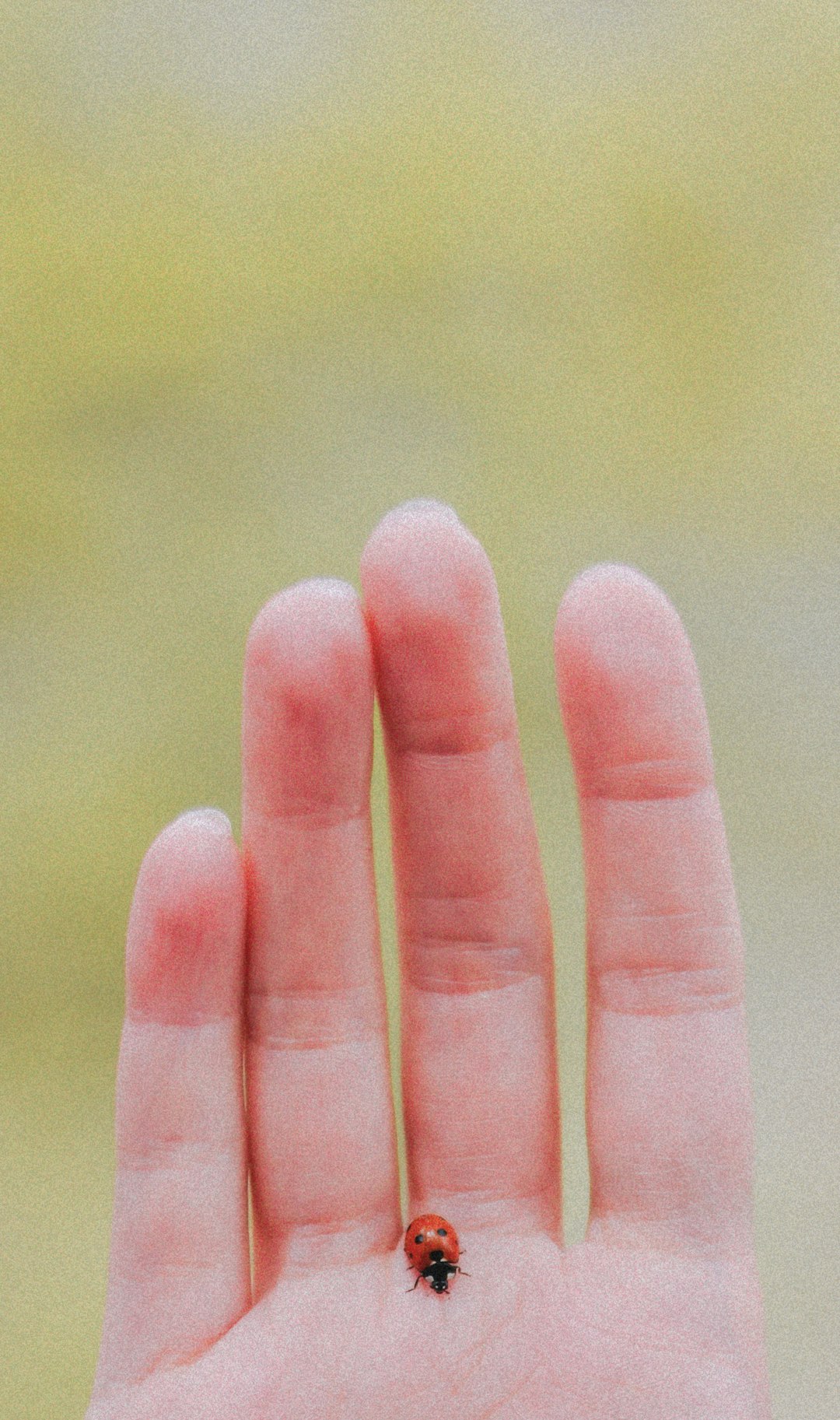 persons fingers with white background